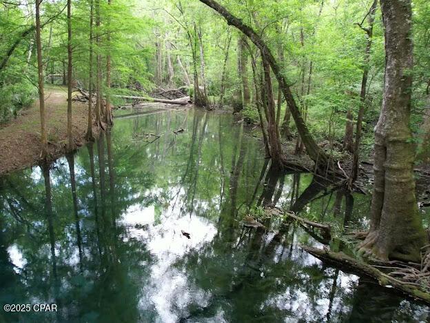 Vernon, Florida, 32462, United States, ,Residential,For Sale,1976647