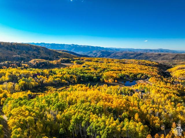 Heber City, Utah, 84032, United States, 6 Bedrooms Bedrooms, ,5 BathroomsBathrooms,Residential,For Sale,1974398