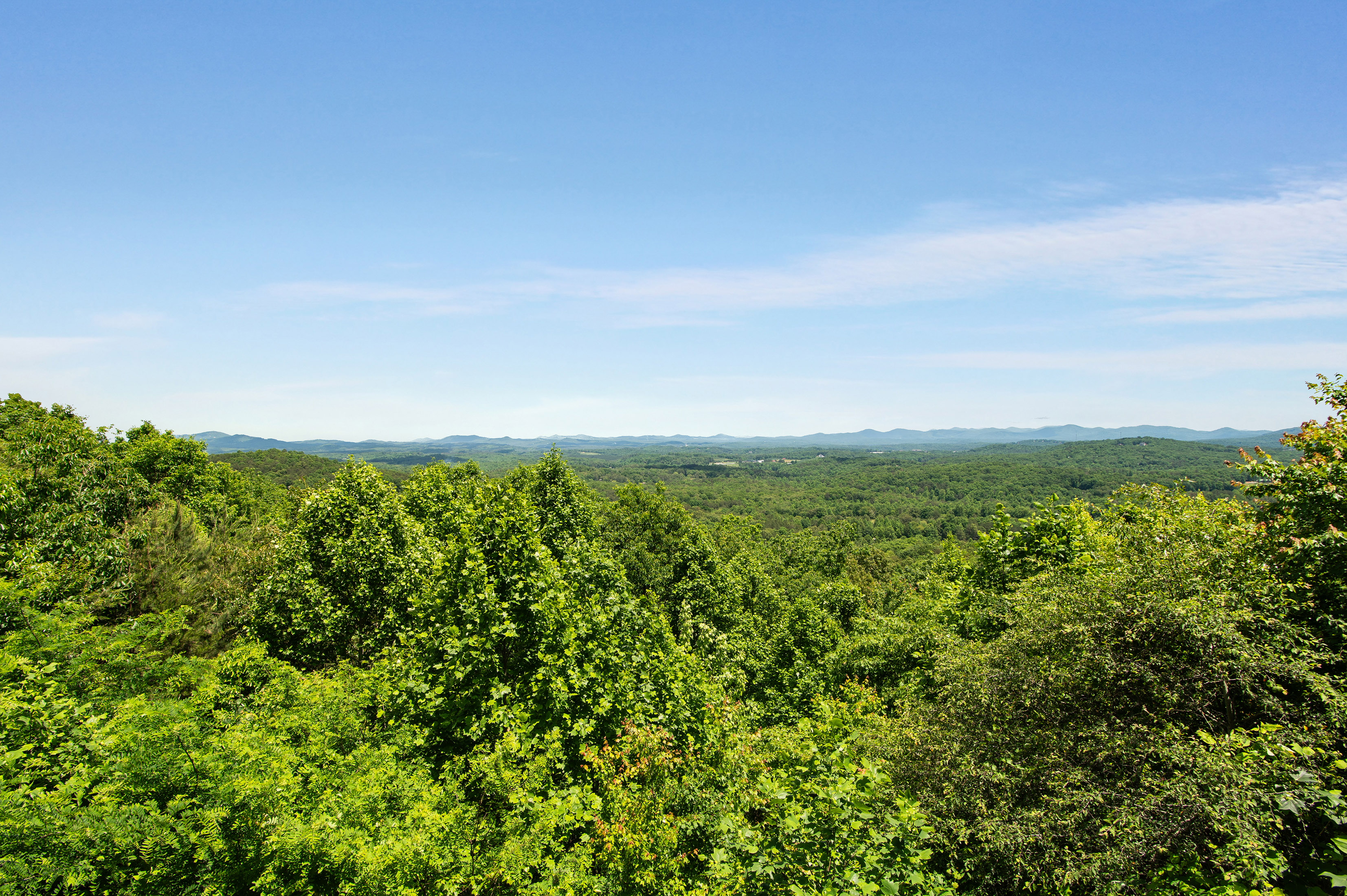 Sunrock Mountain Trl, Blue Ridge, GA 30513 #1