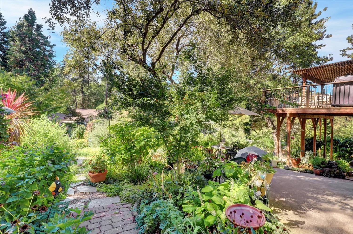 12252 Francis Drive, Grass Valley, California, 95949, United States, 3 Bedrooms Bedrooms, ,2 BathroomsBathrooms,Residential,For Sale,12252 Francis Drive,1631801