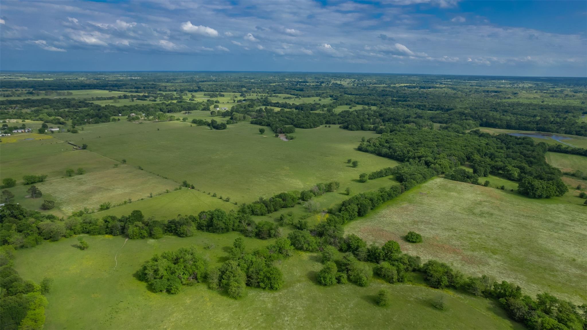 Commerce, Texas, 75428, United States, ,Residential,For Sale,1810631