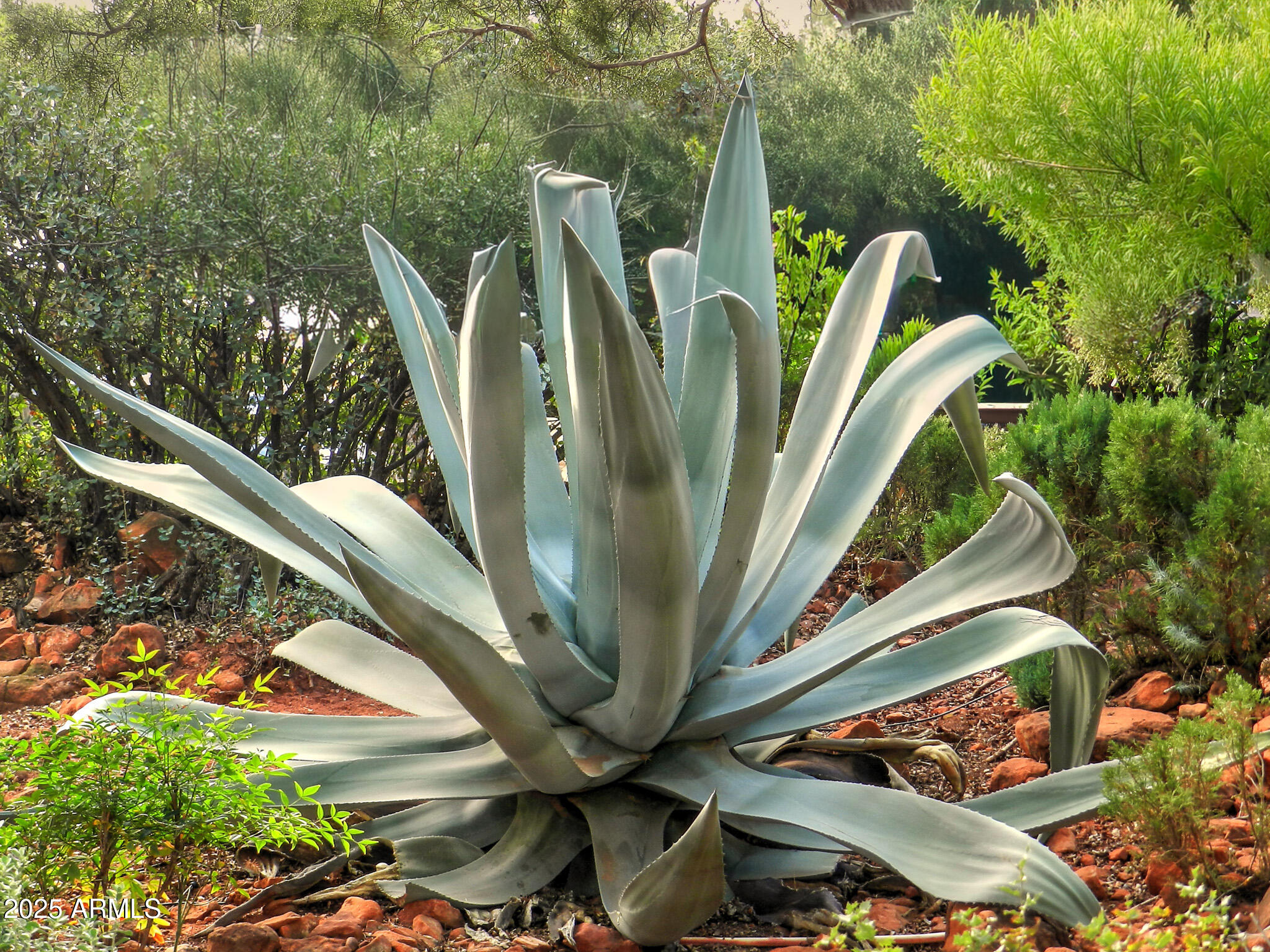 Sedona, Arizona, 86336, United States, 3 Bedrooms Bedrooms, ,3 BathroomsBathrooms,Residential,For Sale,1993543