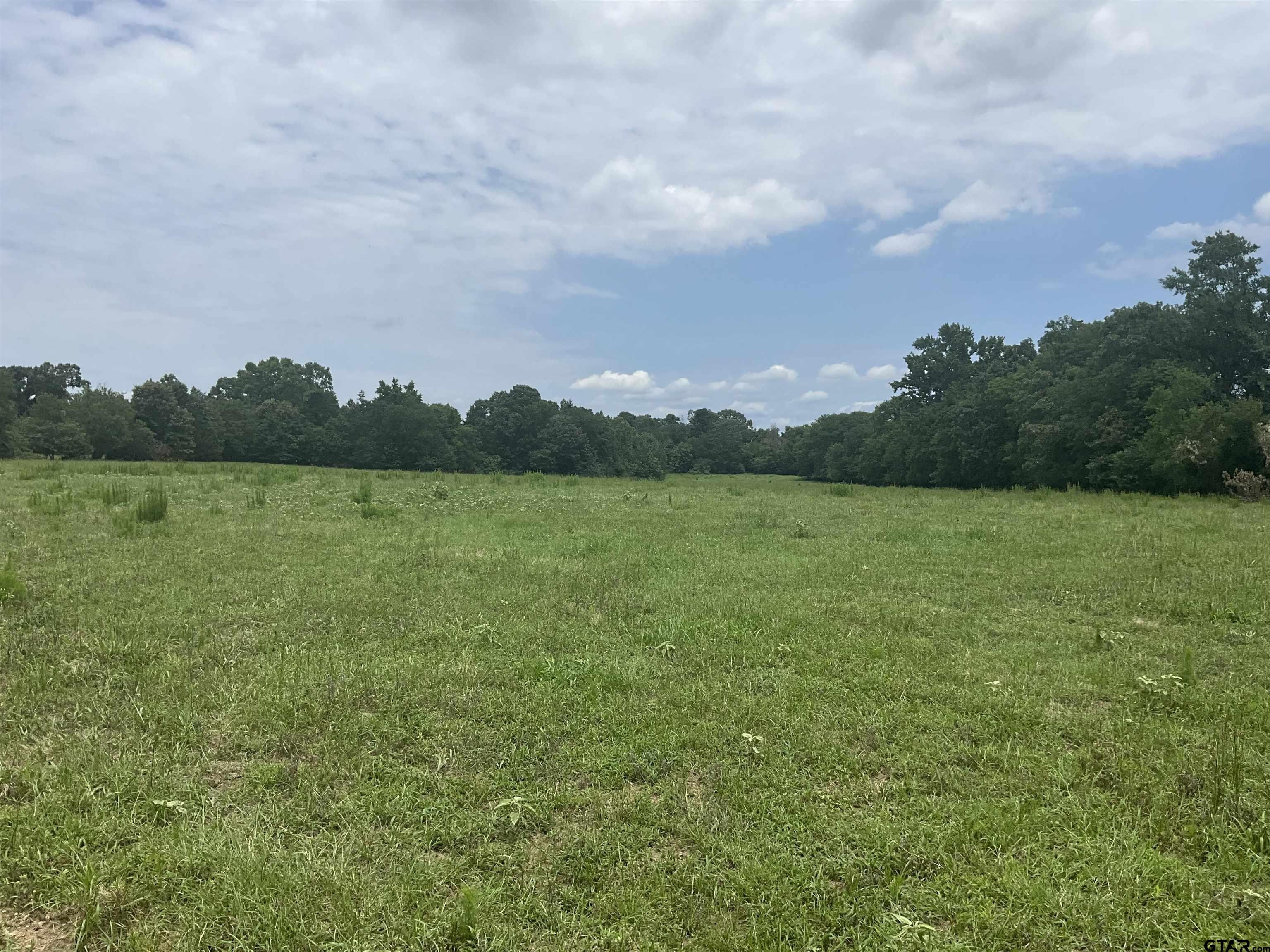 Pittsburg, Texas, 75686, United States, ,Land,For Sale,1976624