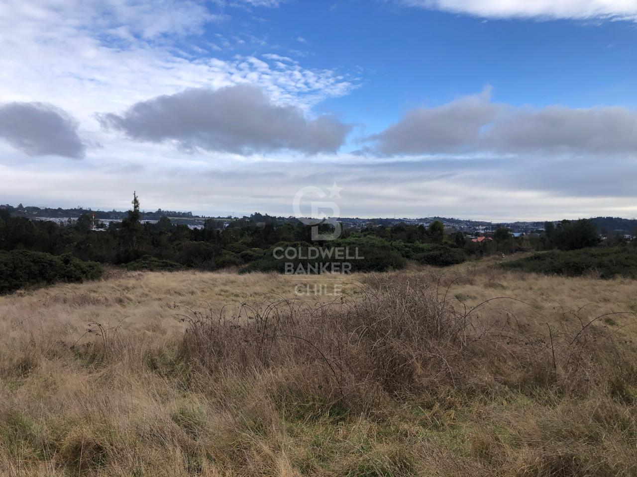 Puerto Varas, Chile, ,Land,For Sale,1917597