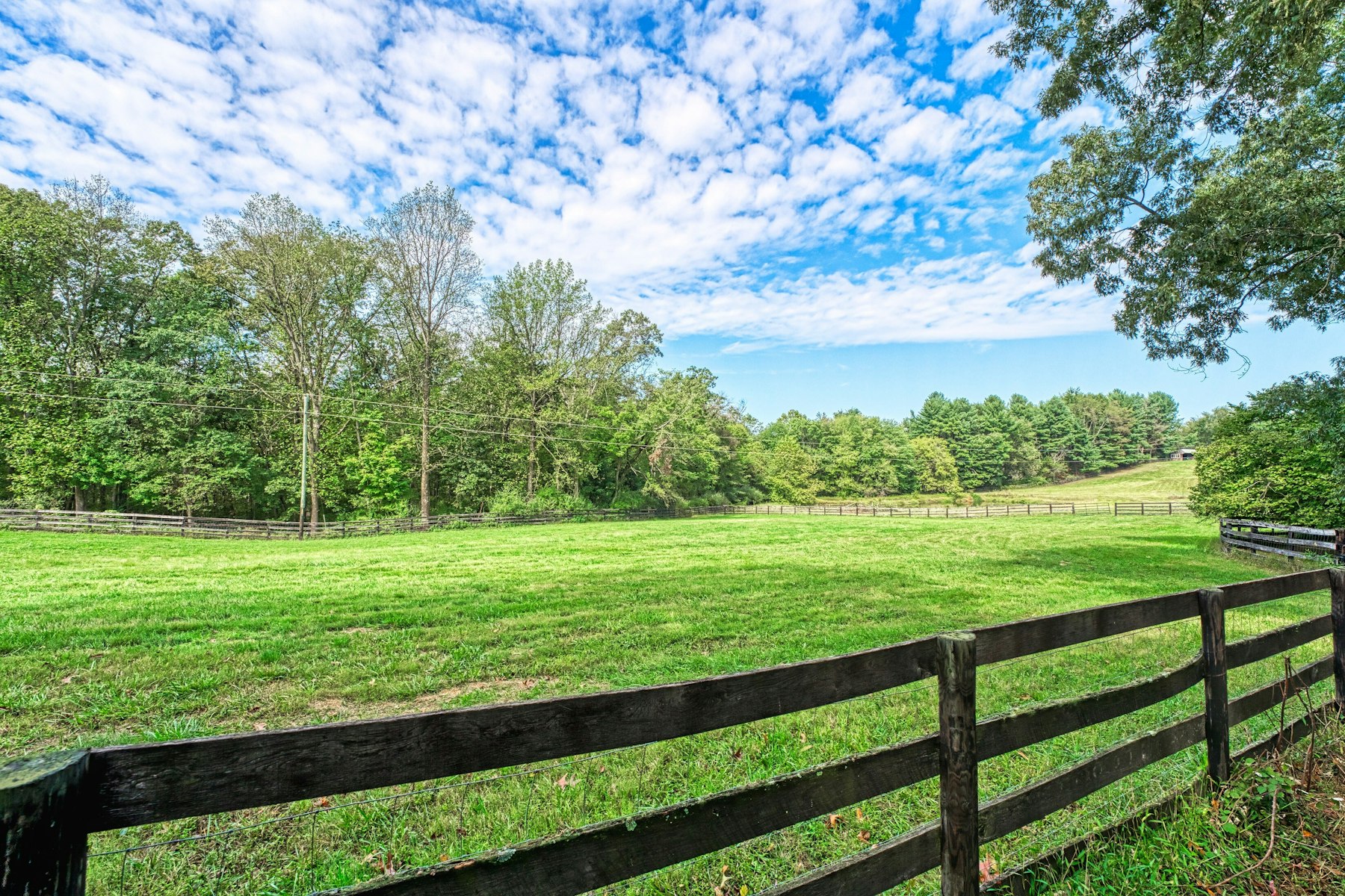  43470 Evans Pond Road, Leesburg, VA, 20176 - 物件實景