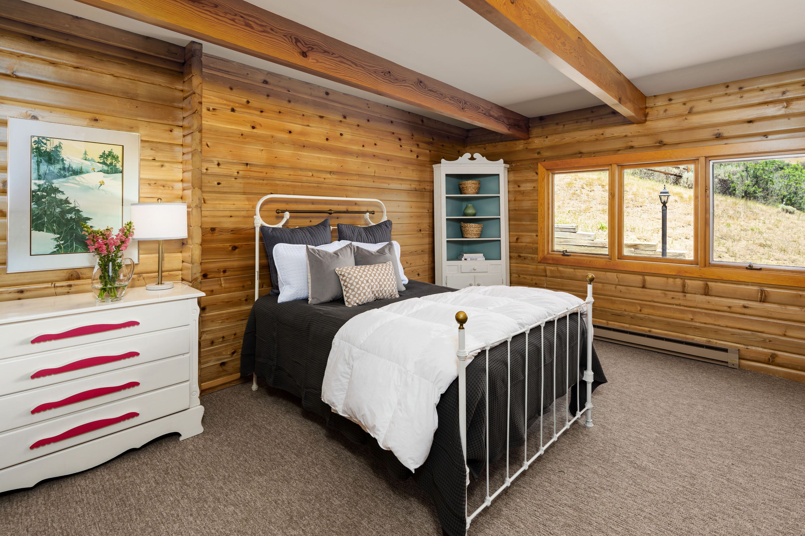  679 Brush Creek Road, Aspen, CO 81611 - 物件實景
