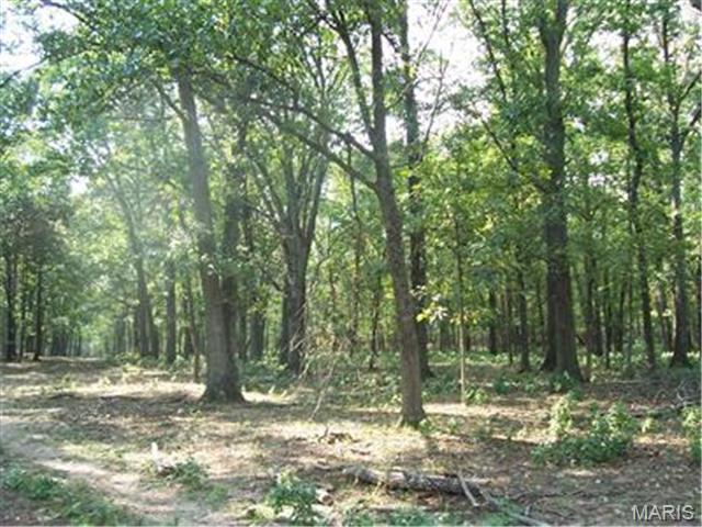 Farmington, Missouri, 63640, United States, ,Land,For Sale,1941650