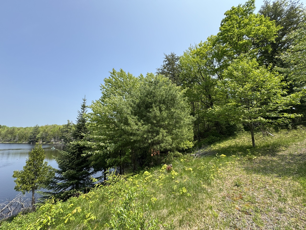 Oma, Wisconsin, 54534, United States, ,Residential,For Sale,1920346