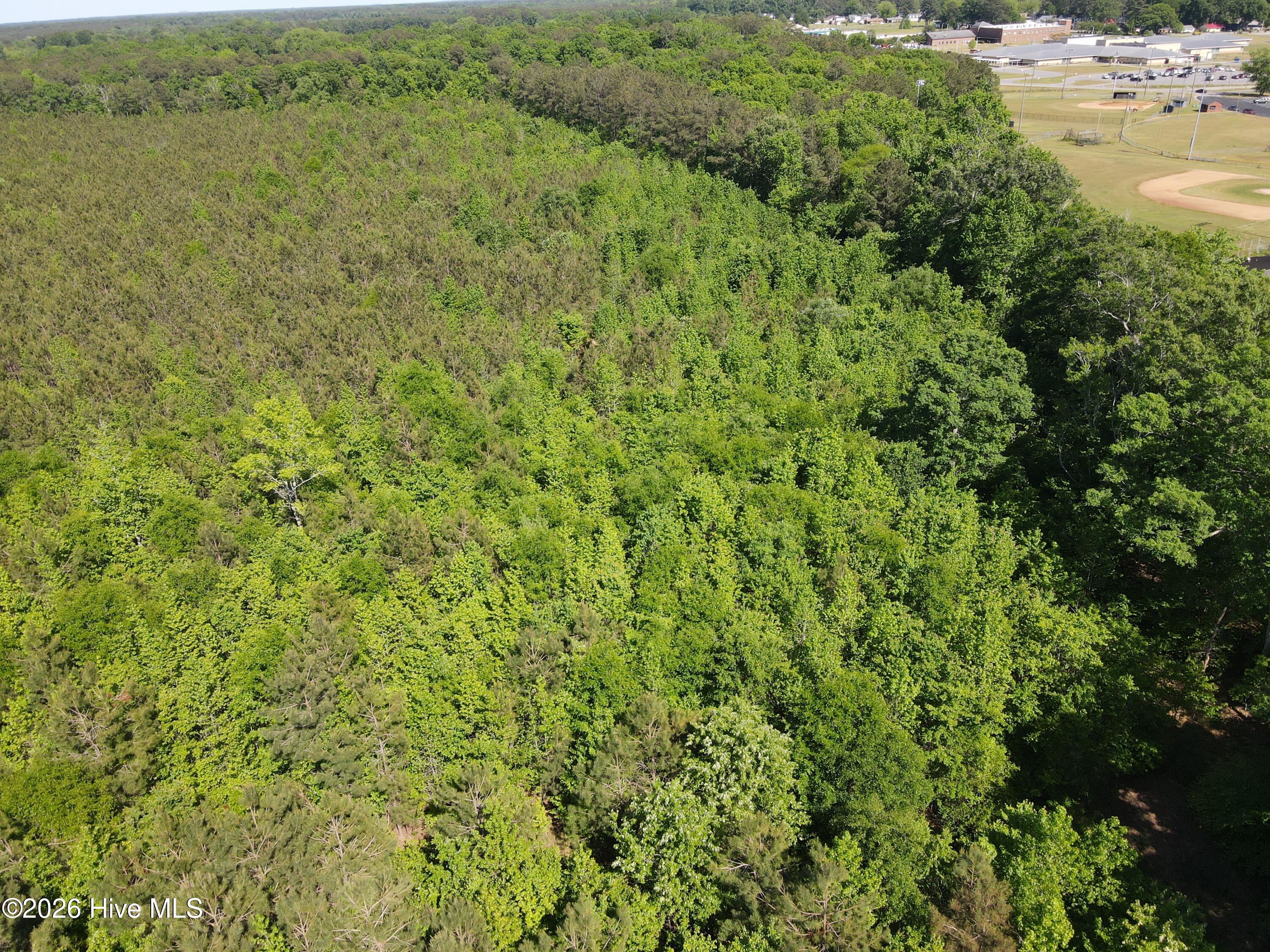 Ahoskie, North Carolina, 27910, United States, ,Land,For Sale,2048833