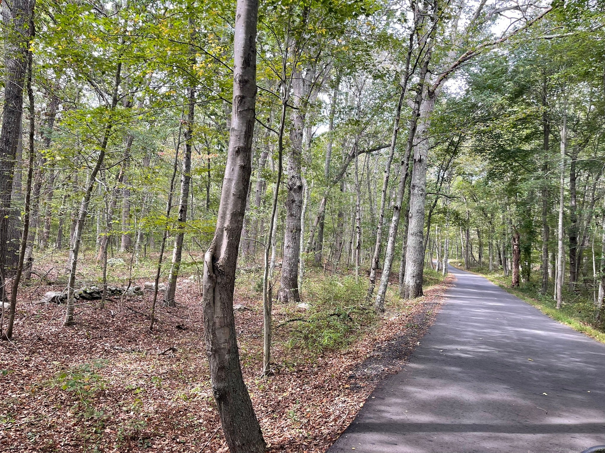 Old Lyme, Connecticut, 06371, United States, ,Land,For Sale,1979689