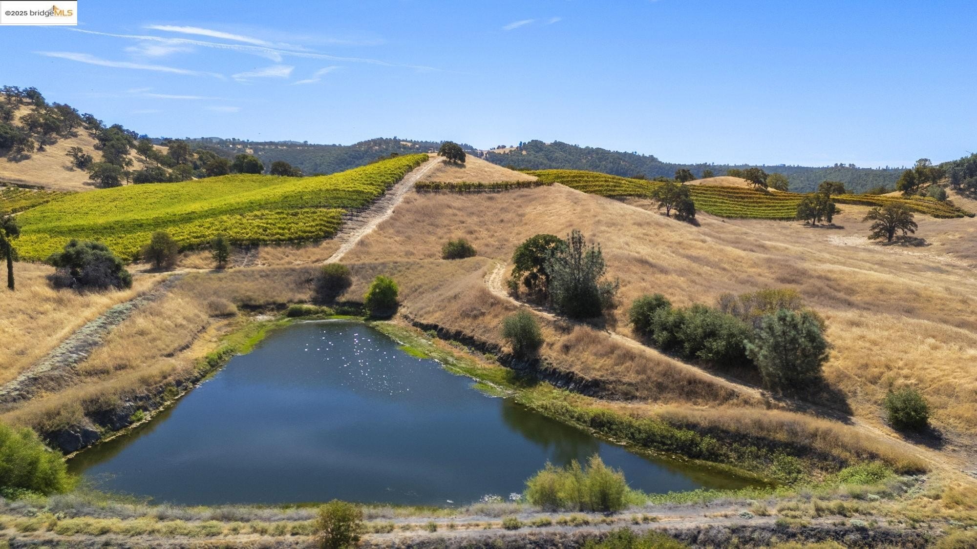 Murphys, California, 95247, United States, ,Land,For Sale,1975931