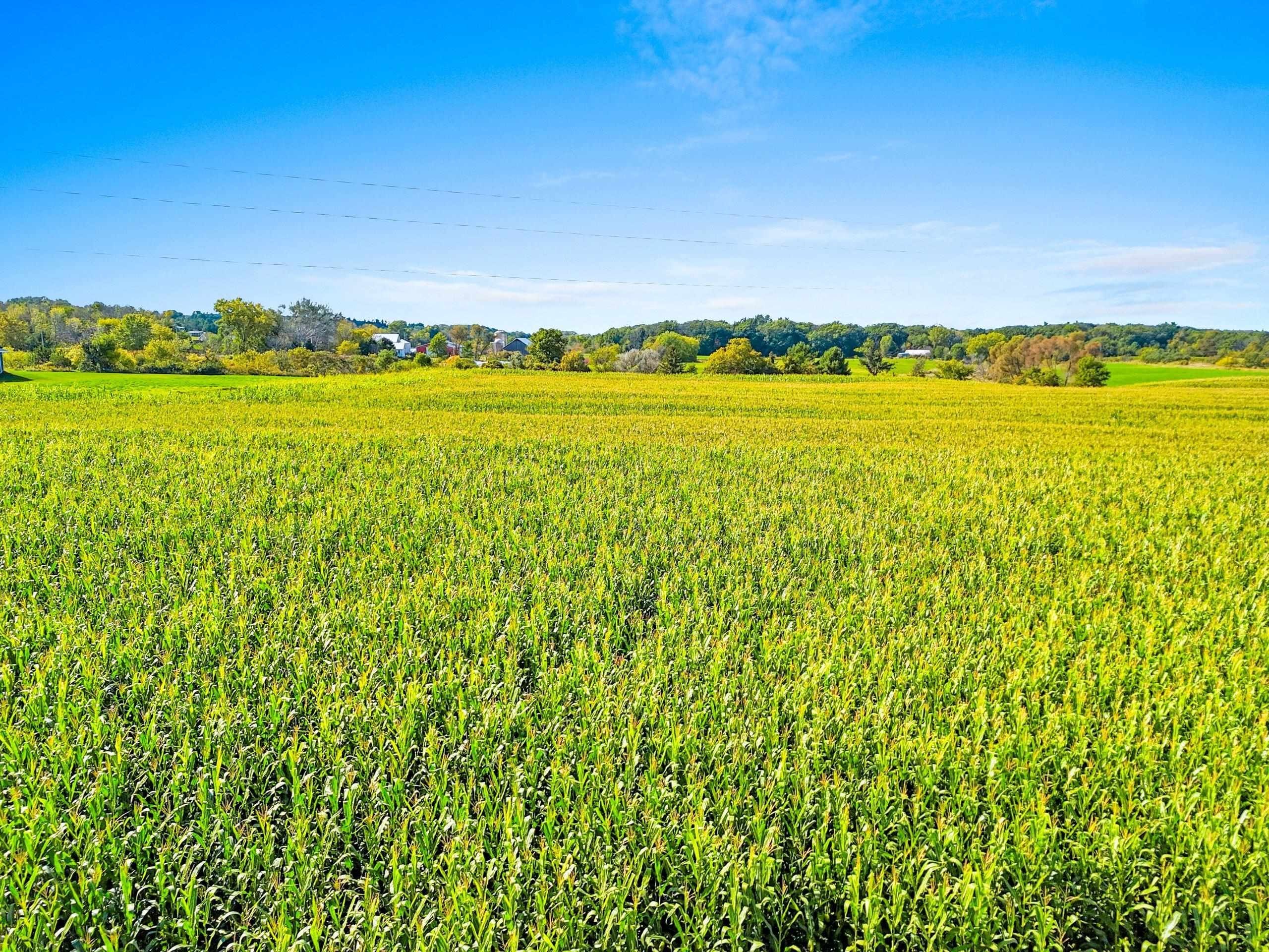 DOLLAR Road, GREEN BAY, Wisconsin, 54311, United States, ,Residential,For Sale,DOLLAR Road,1618059