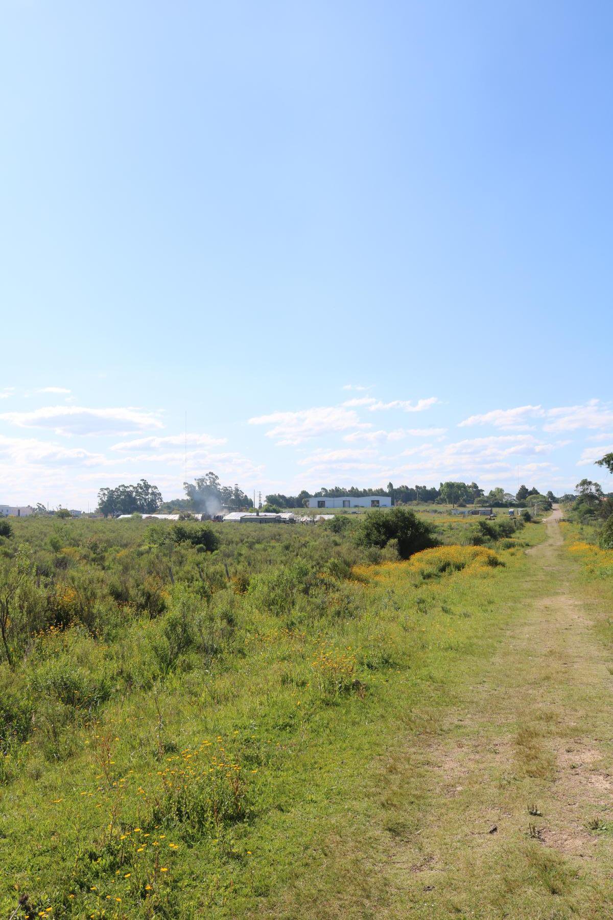  Large urban plot just steps from the city of Rocha. - 物件實景