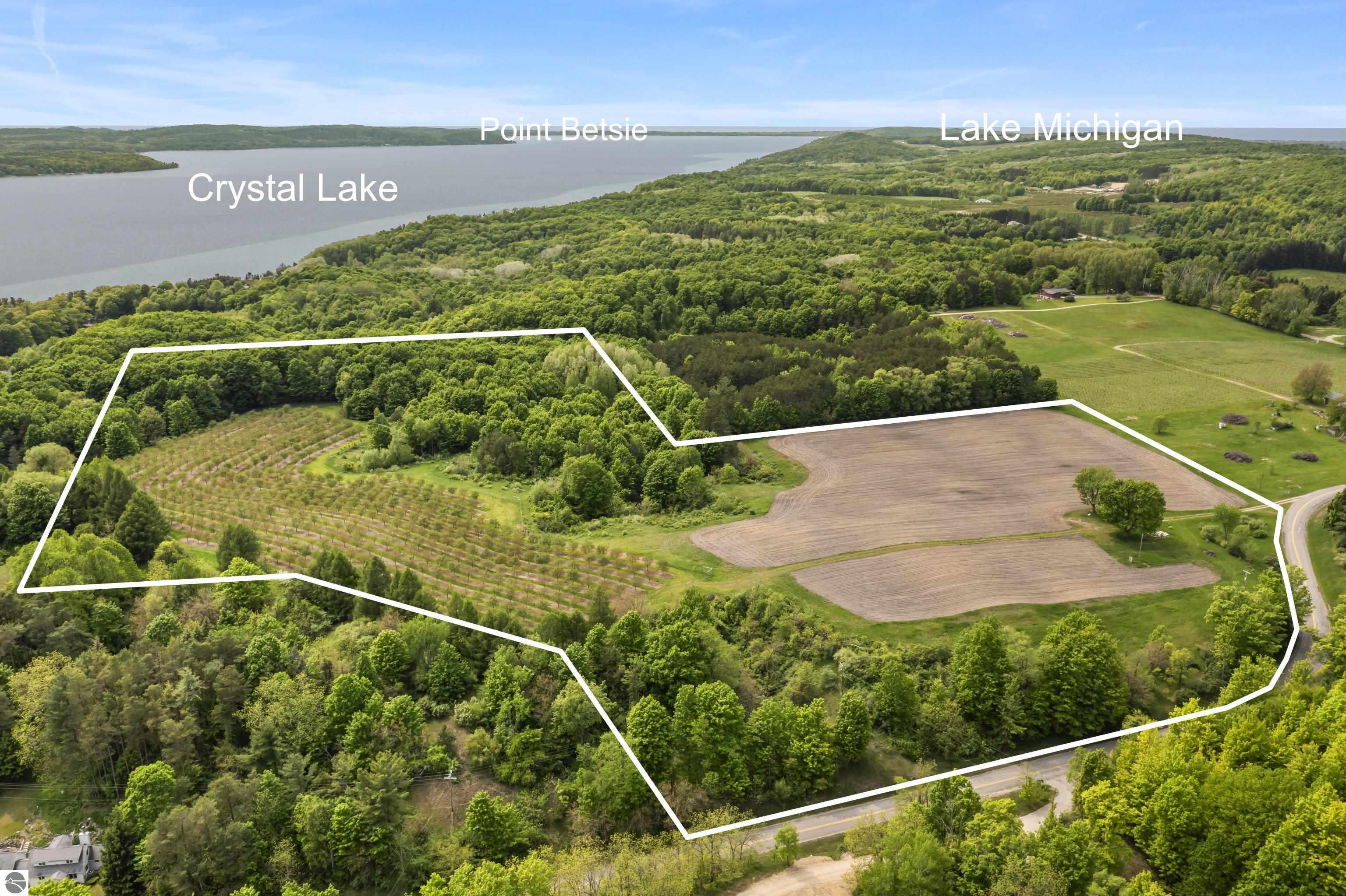 Beulah, Michigan, 49617, United States, ,Land,For Sale,1938552