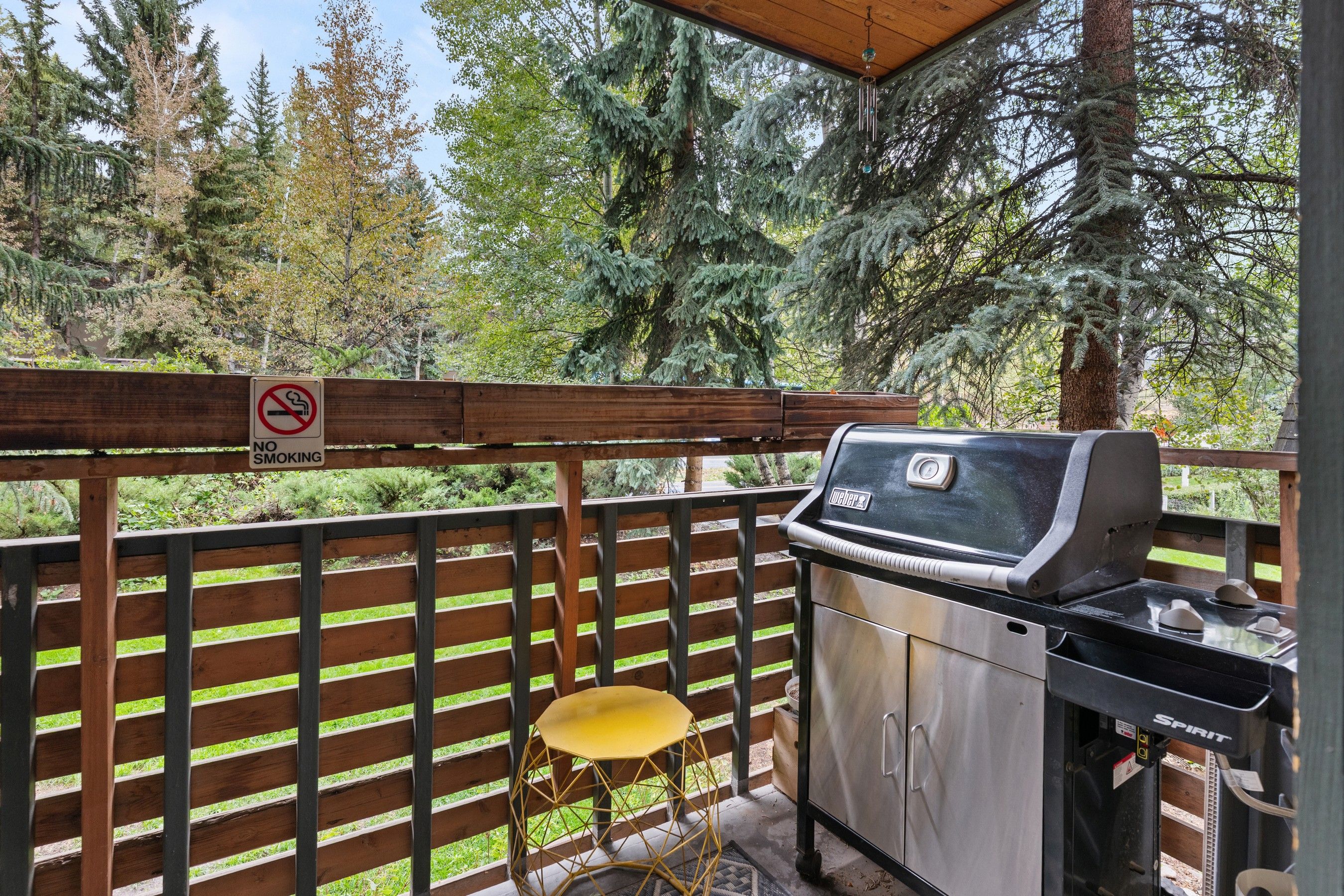  910 W Hallam Street, Aspen, CO, 81611 - 物件實景