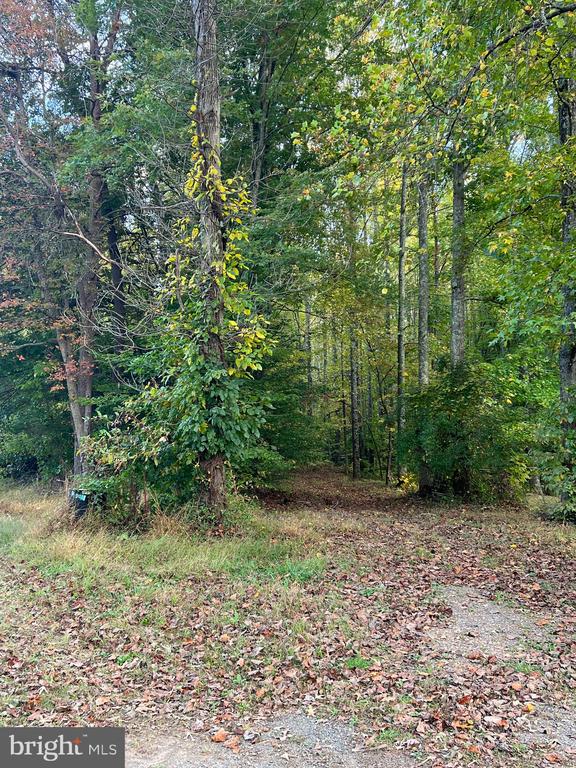 Fredericksburg, Virginia, 22406, United States, ,Residential,For Sale,1935241