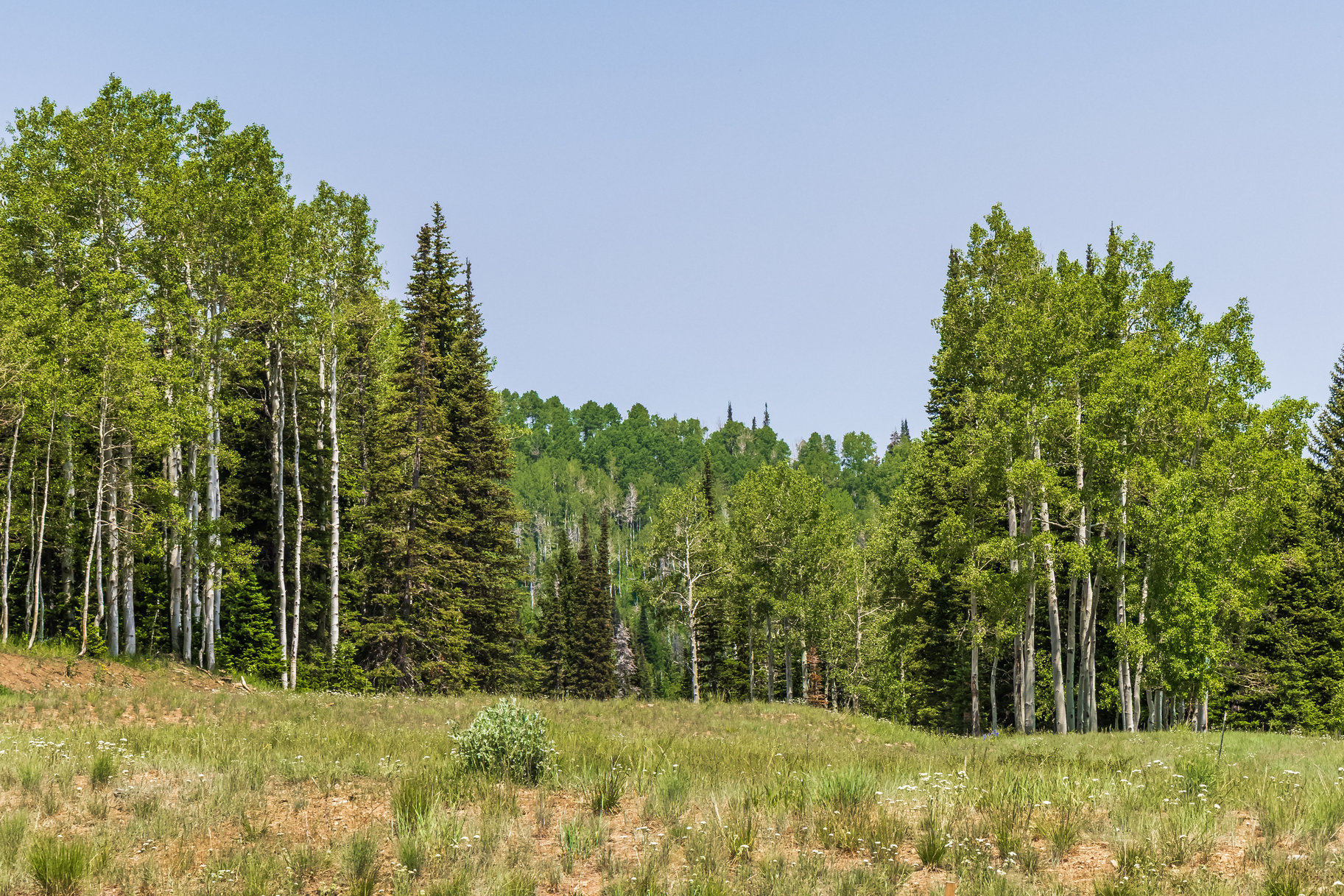  Incredible 28 Acre Estate Lot in the Colony at White Pine Canyon - 物件實景