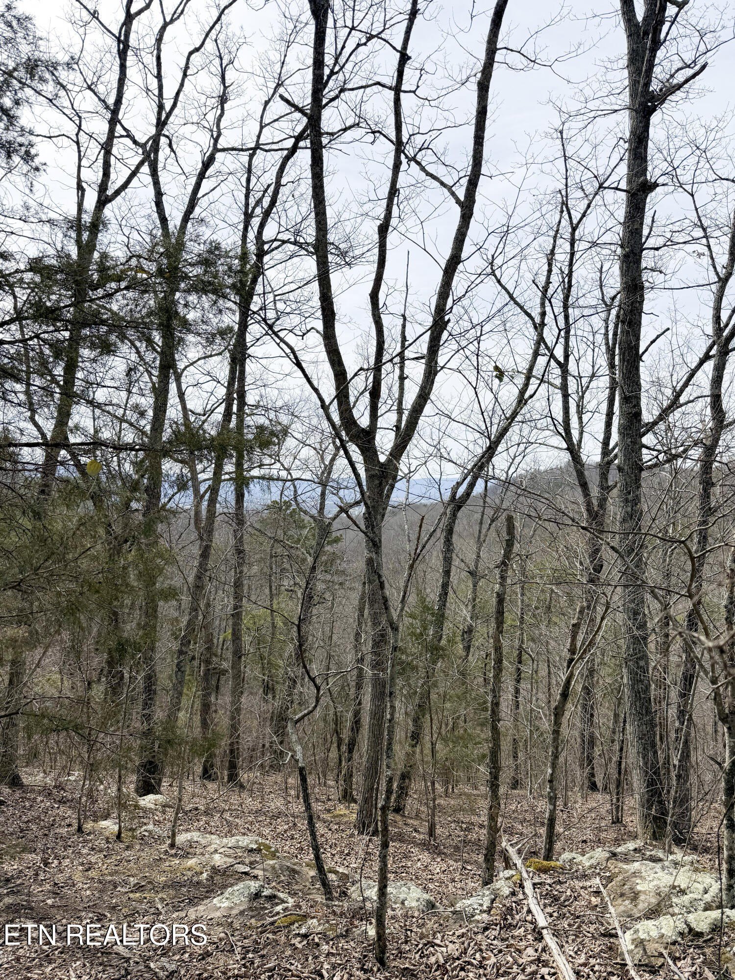 Pikeville, Tennessee, 37367, United States, ,Land,For Sale,1975616