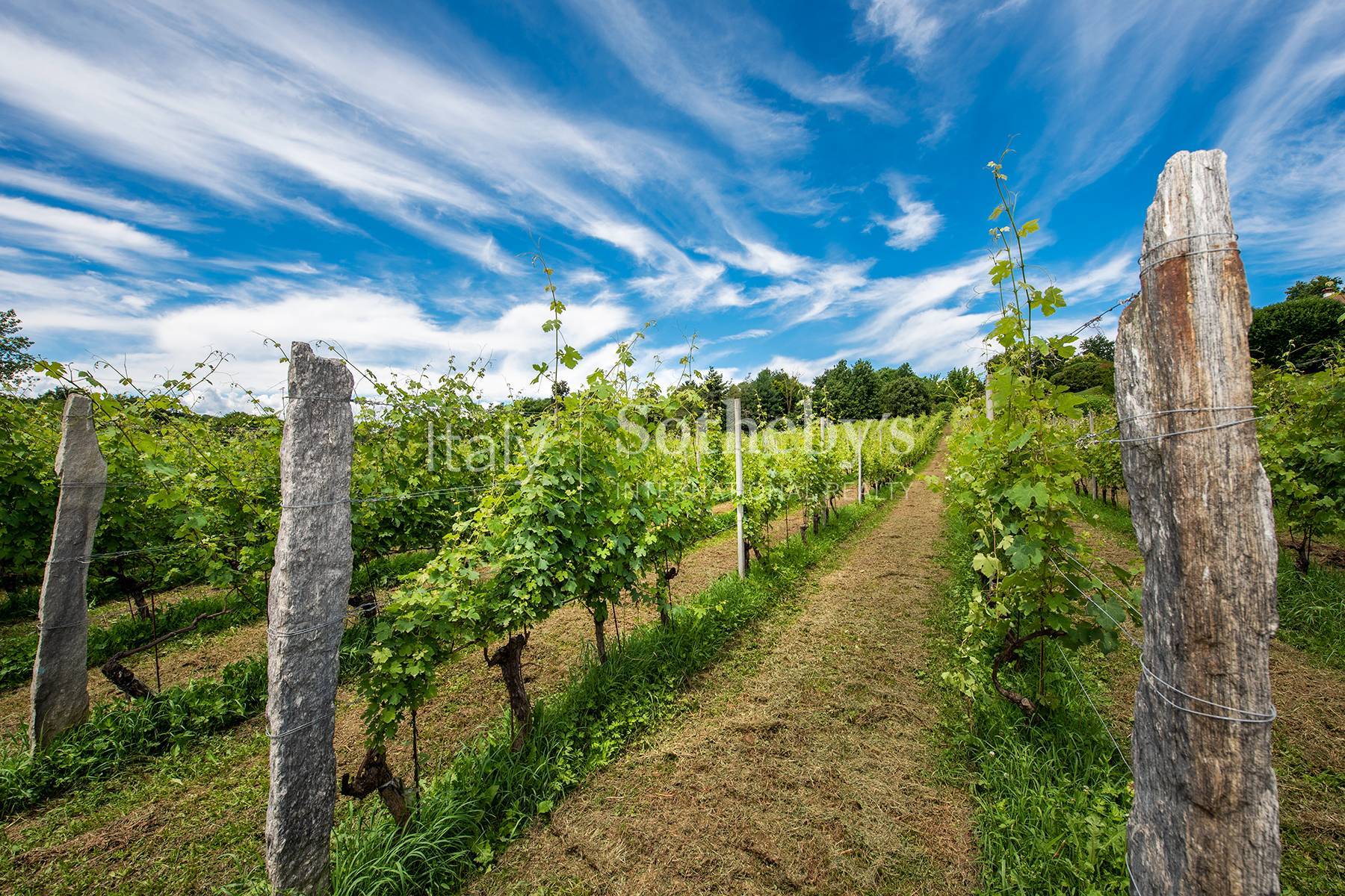  Exclusive wine estate - 物件實景