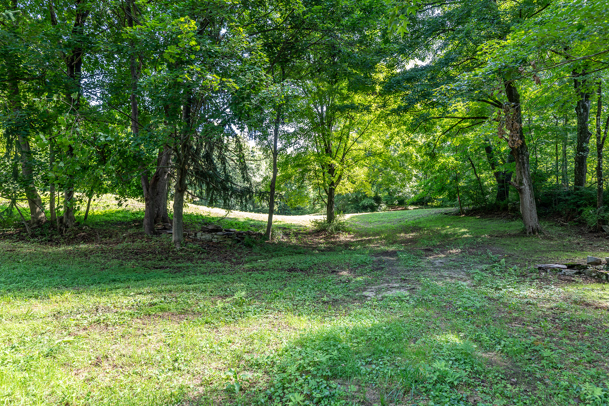  631 South Plains Road - 物件實景