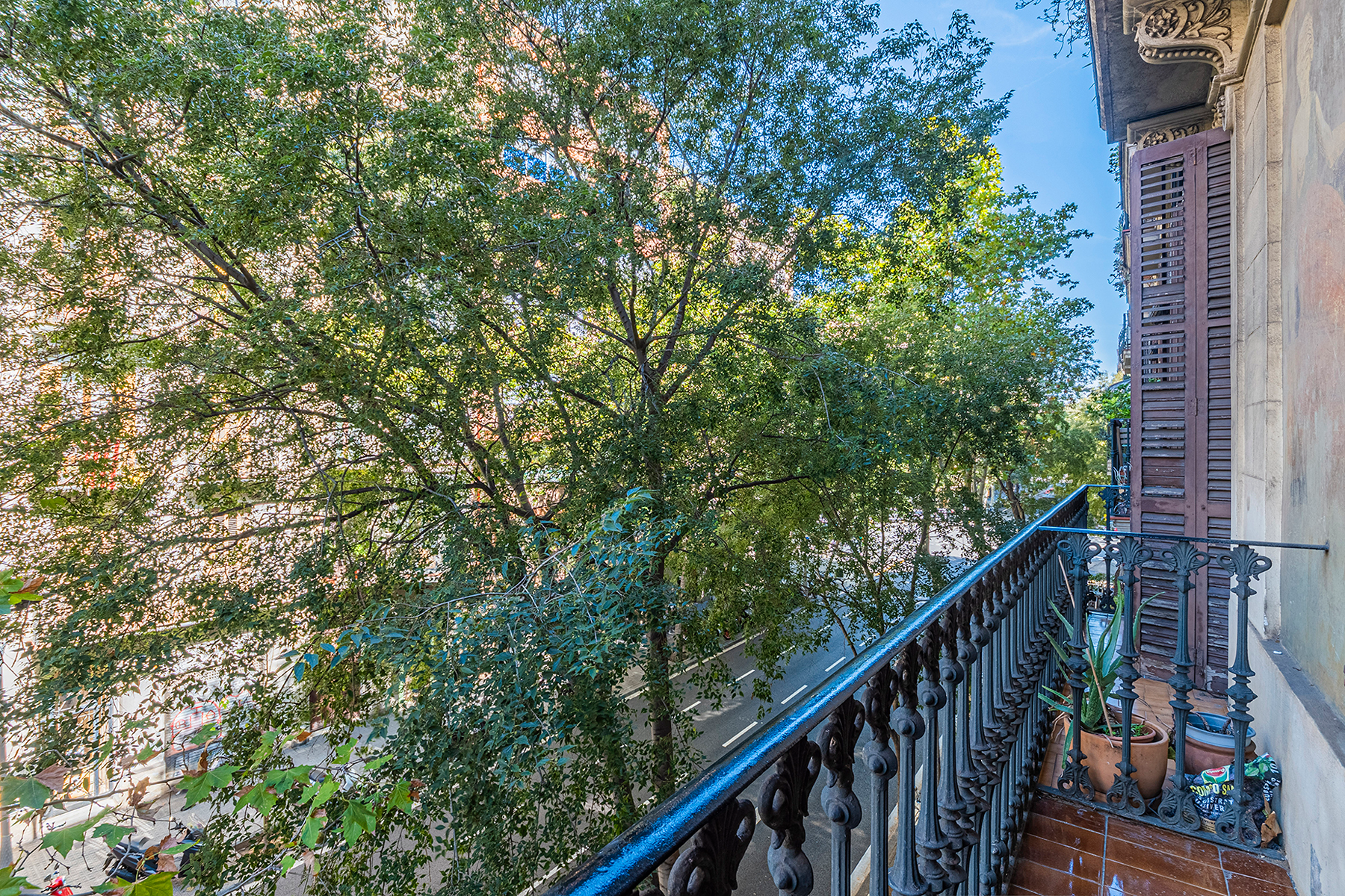  Beautifully renovated apartment in Eixample, next to Gracia - 物件實景