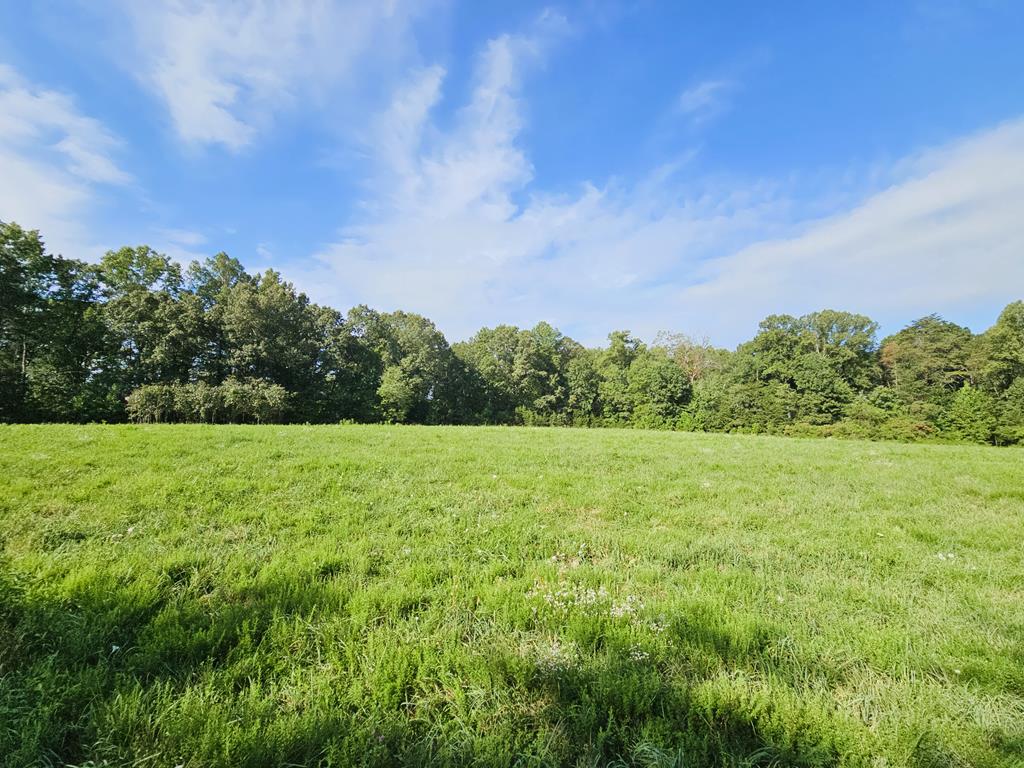 Brookneal, Virginia, 24528, United States, 2 Bedrooms Bedrooms, ,2 BathroomsBathrooms,Residential,For Sale,1927692