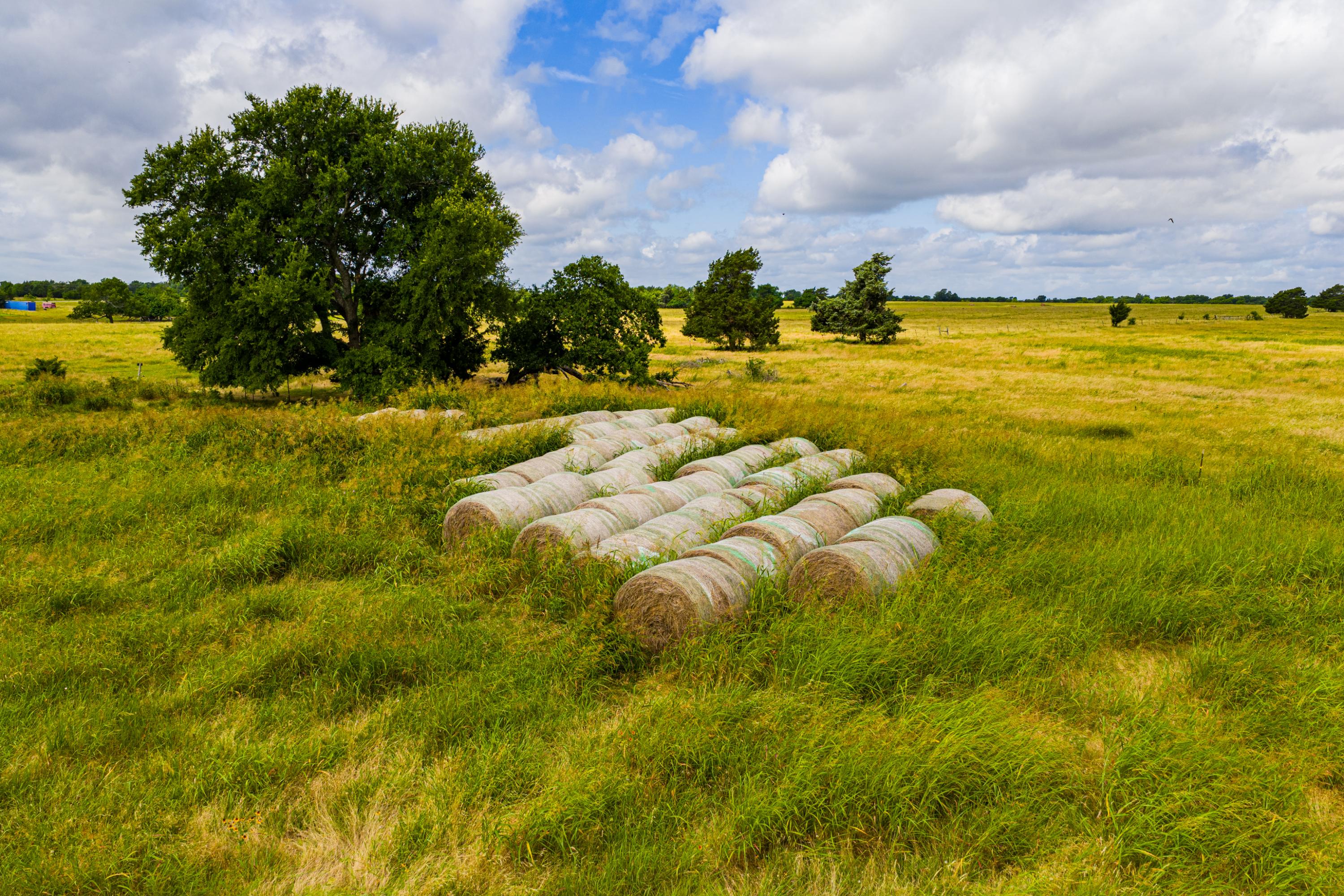  Hickory Creek Ranch - 物件實景