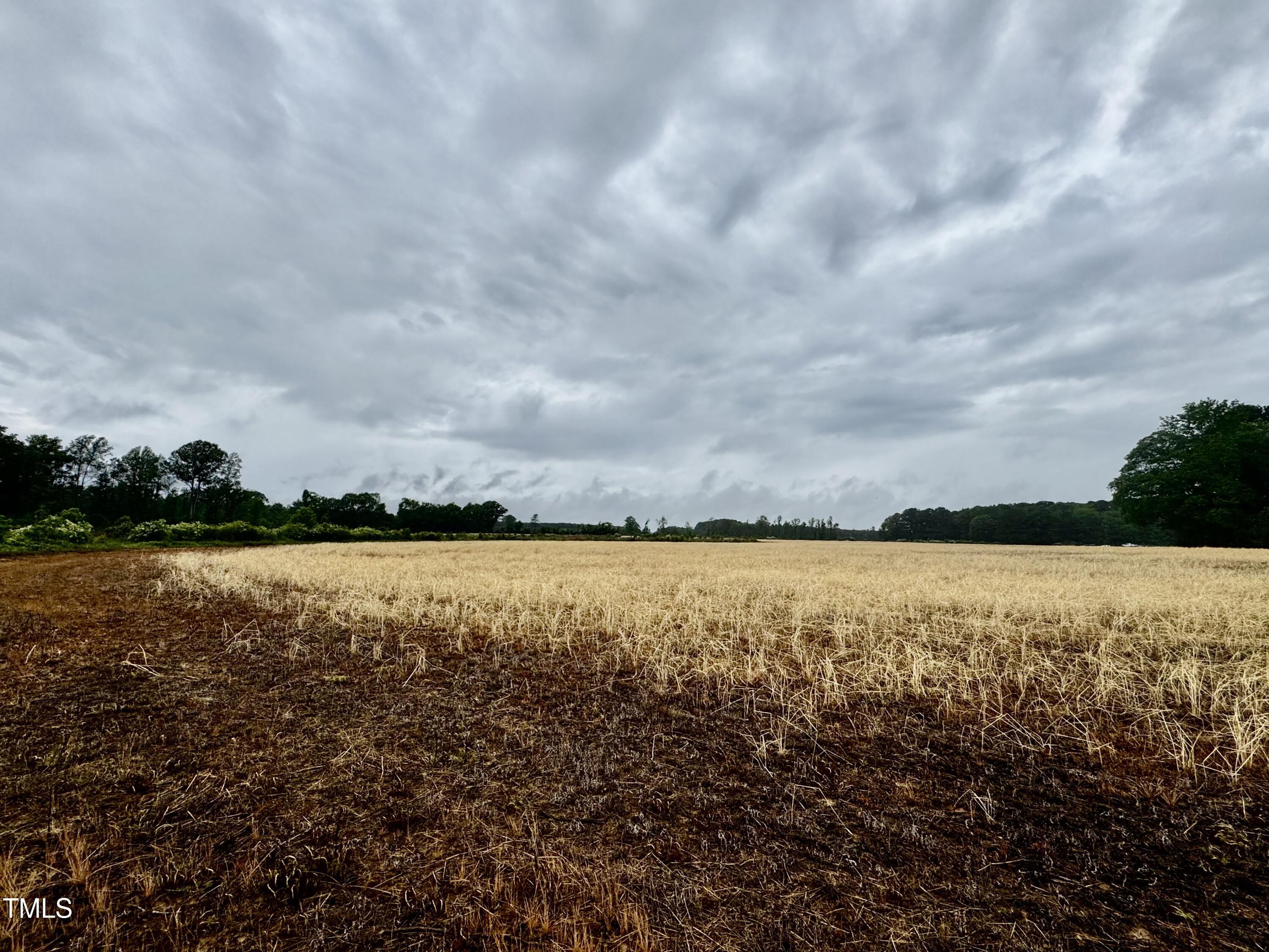 Murfreesboro, North Carolina, 27855, United States, ,Land,For Sale,1796477