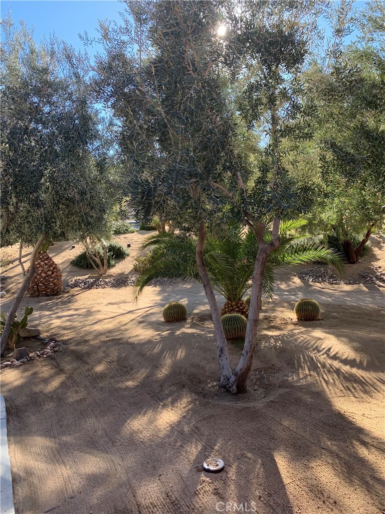 61218 Sandalwood, Joshua Tree, California, 92252, United States, 3 Bedrooms Bedrooms, ,2 BathroomsBathrooms,Residential,For Sale,61218 Sandalwood,1619785