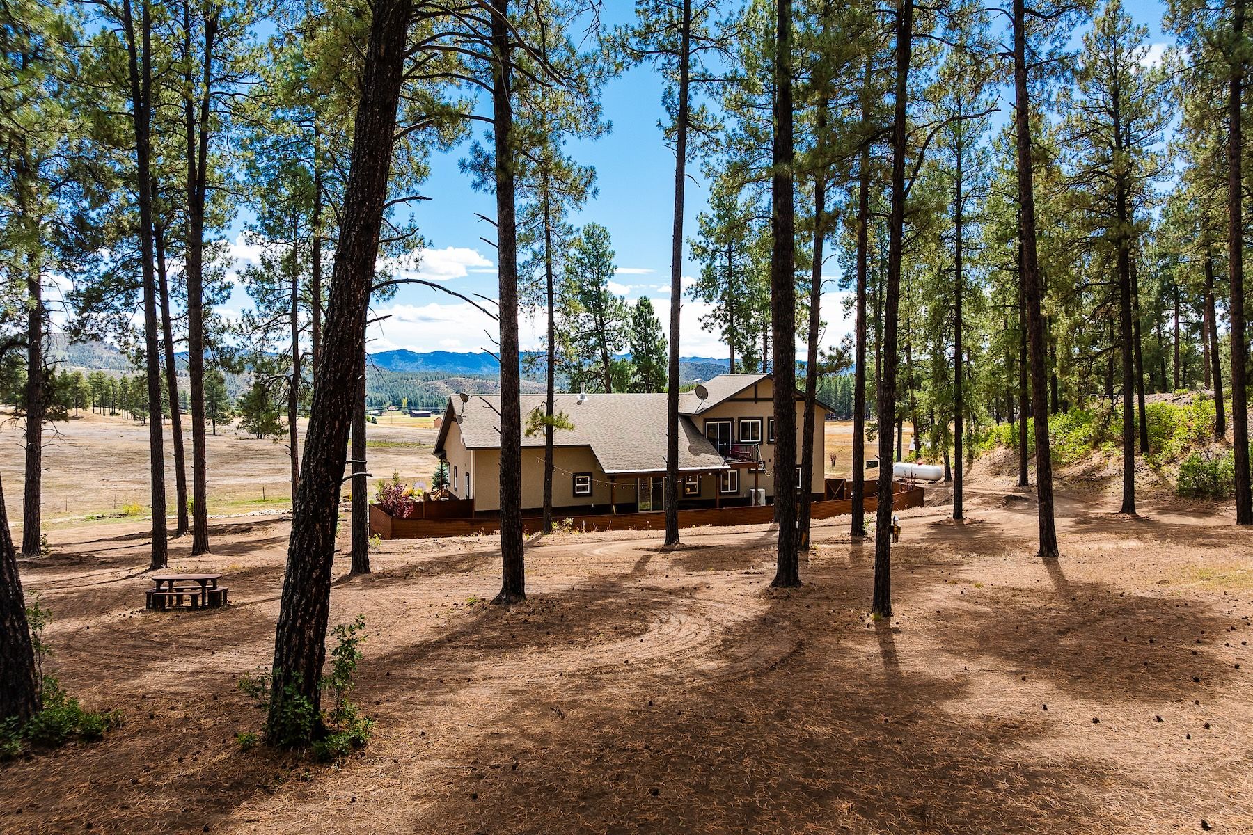  540 Bald Eagle Road, Bayfield, CO 81122 - 物件實景