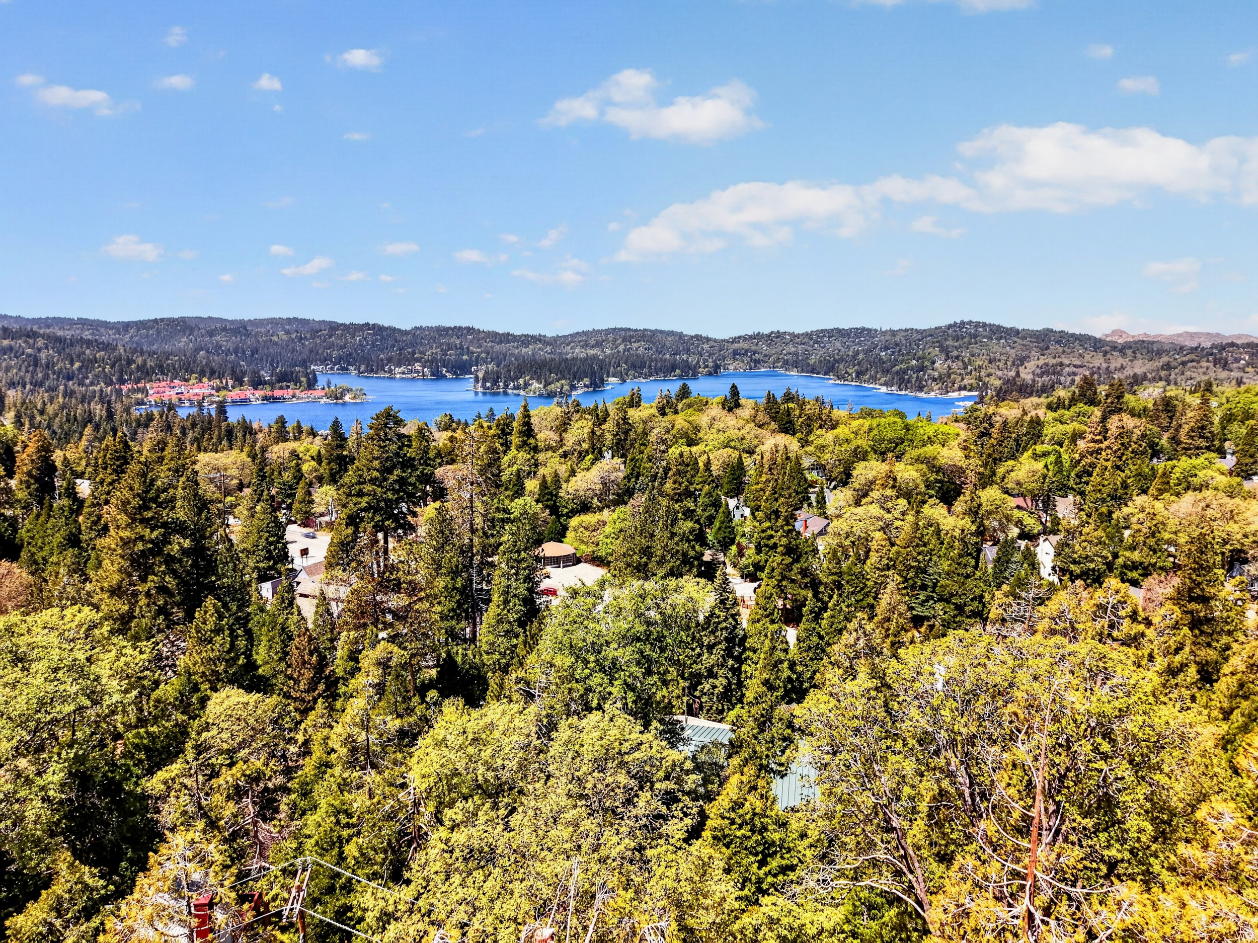  176 Fir Terrace, Cedar Glen, CA 92321 - 物件實景