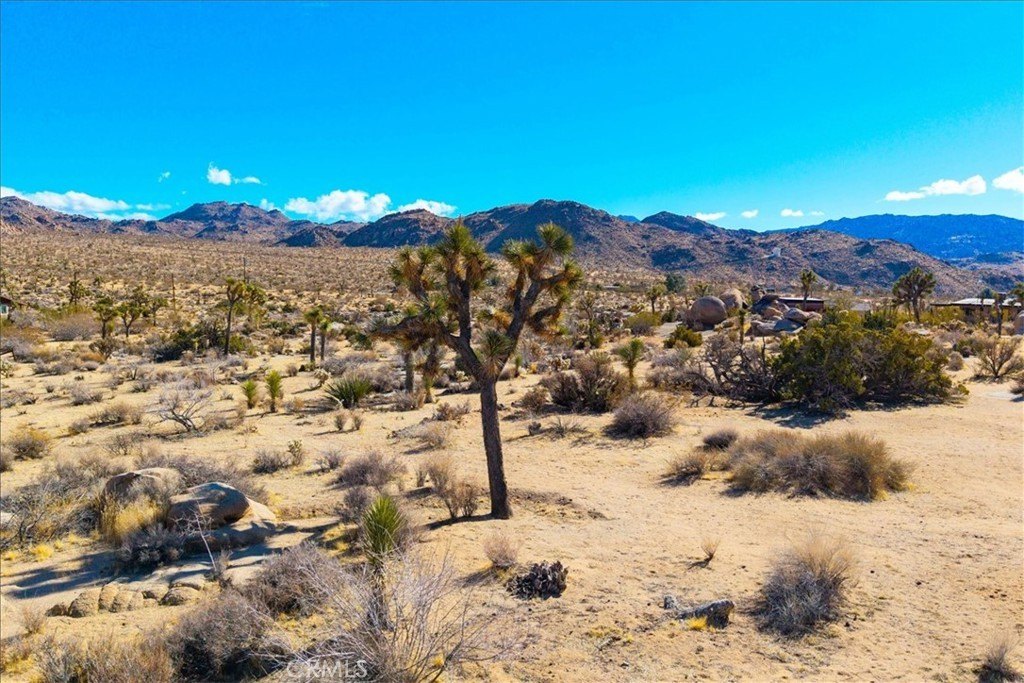 Joshua Tree, California, 92252, United States, 3 Bedrooms Bedrooms, ,2 BathroomsBathrooms,Residential,For Sale,1942307