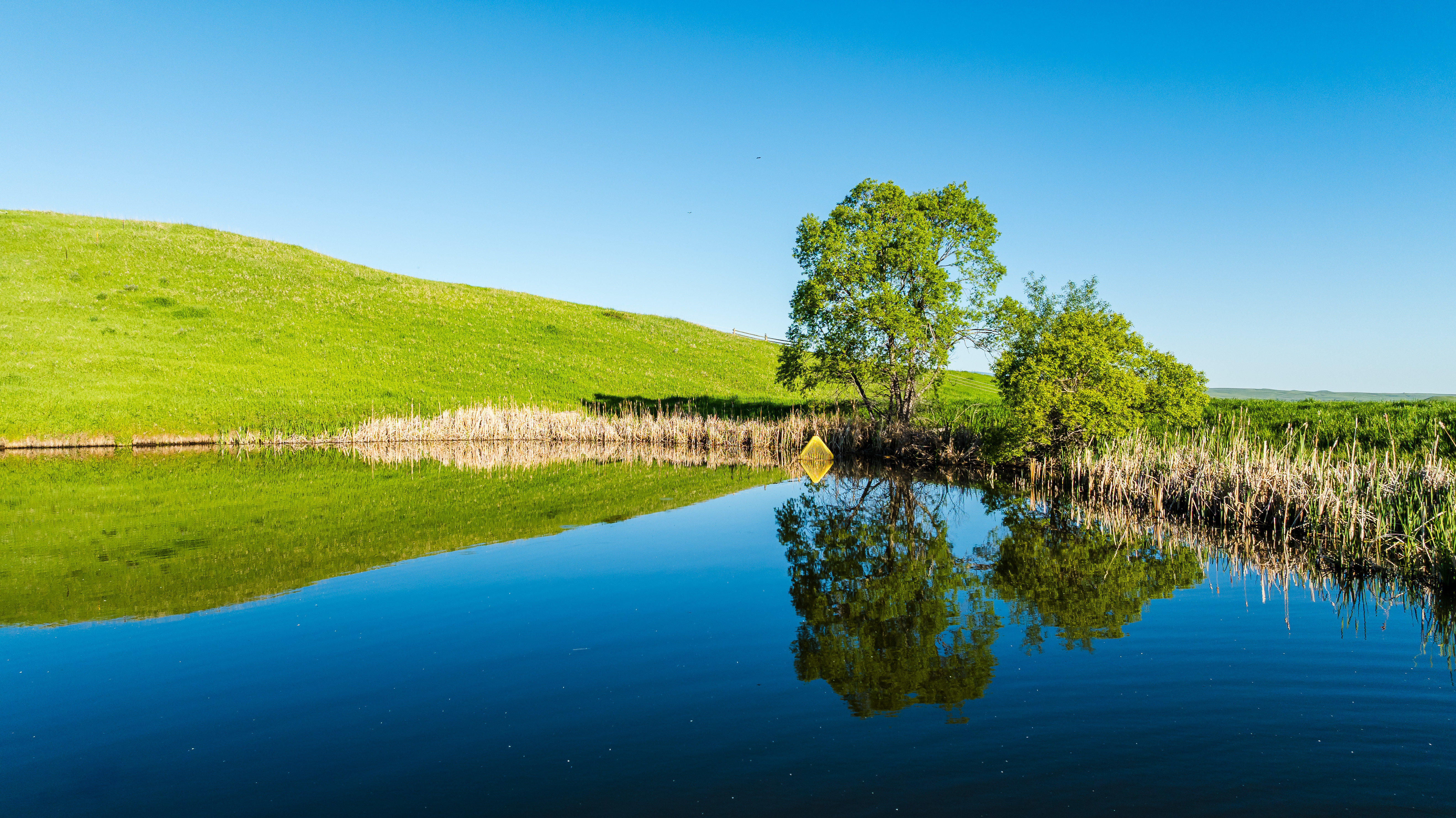 Big Horn, Wyoming, 82833, United States, ,Residential,For Sale,1976689