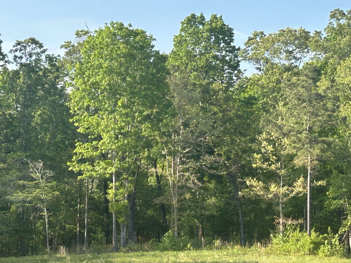 Roopville, Georgia, 30170, United States, ,Residential,For Sale,1780793