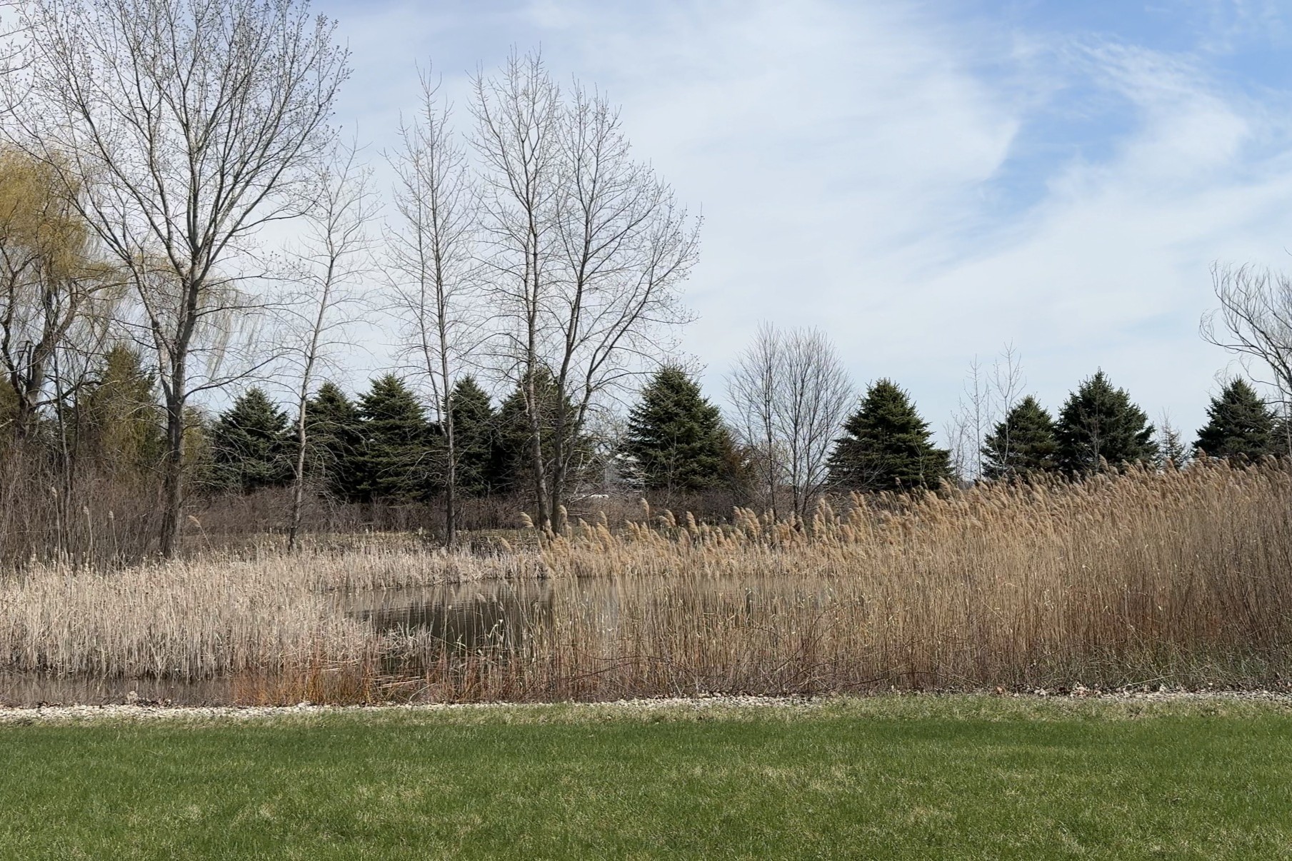  tranquil 3-acre homestead in union  grove - 物件實景