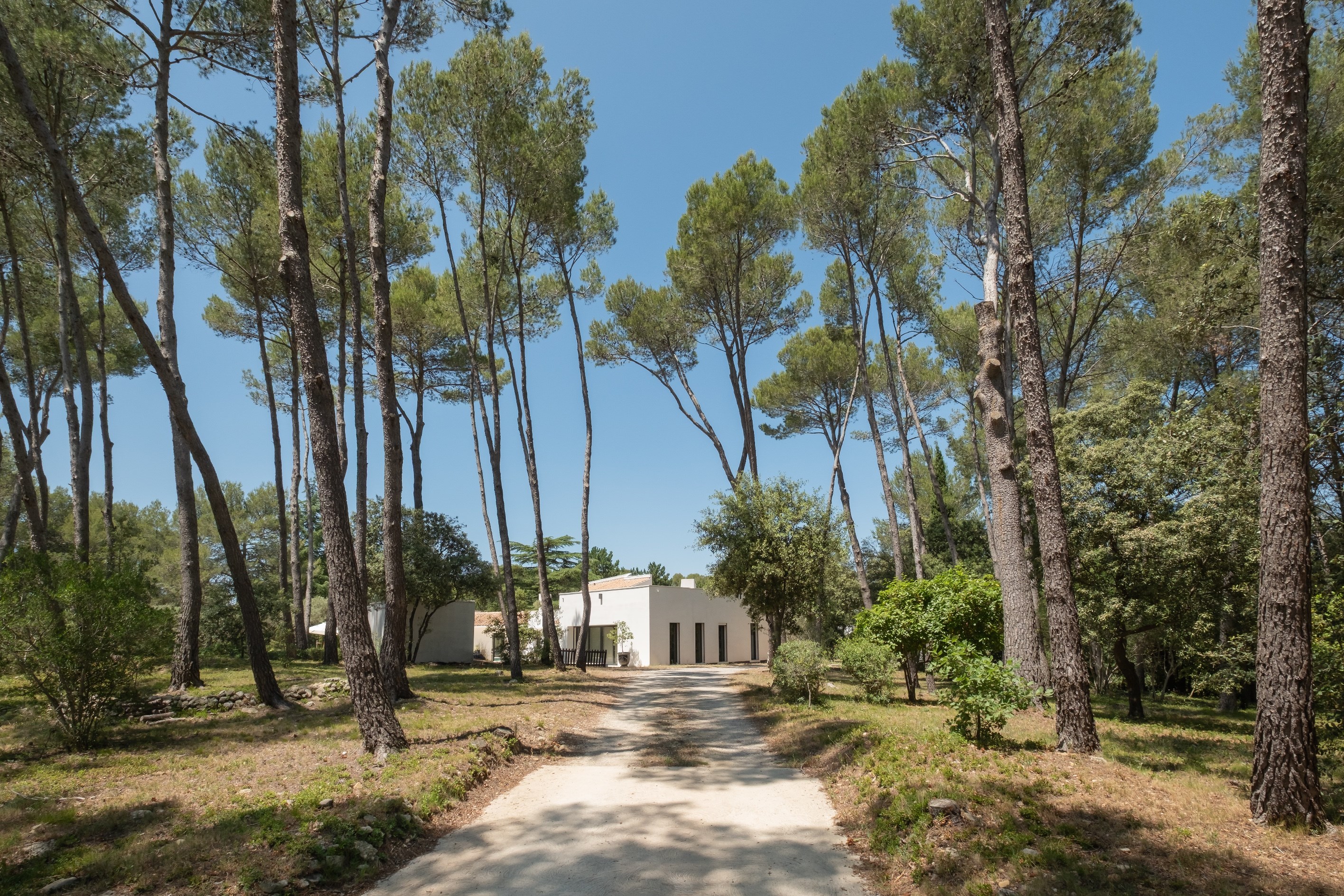  Exceptional property with designer villa, 13,000 m² grounds and rare features - 物件實景