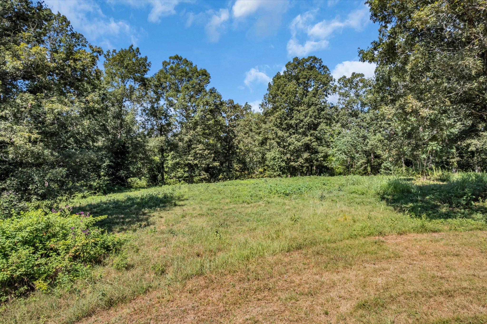 Smithville, Tennessee, 37166, United States, ,Land,For Sale,2006607