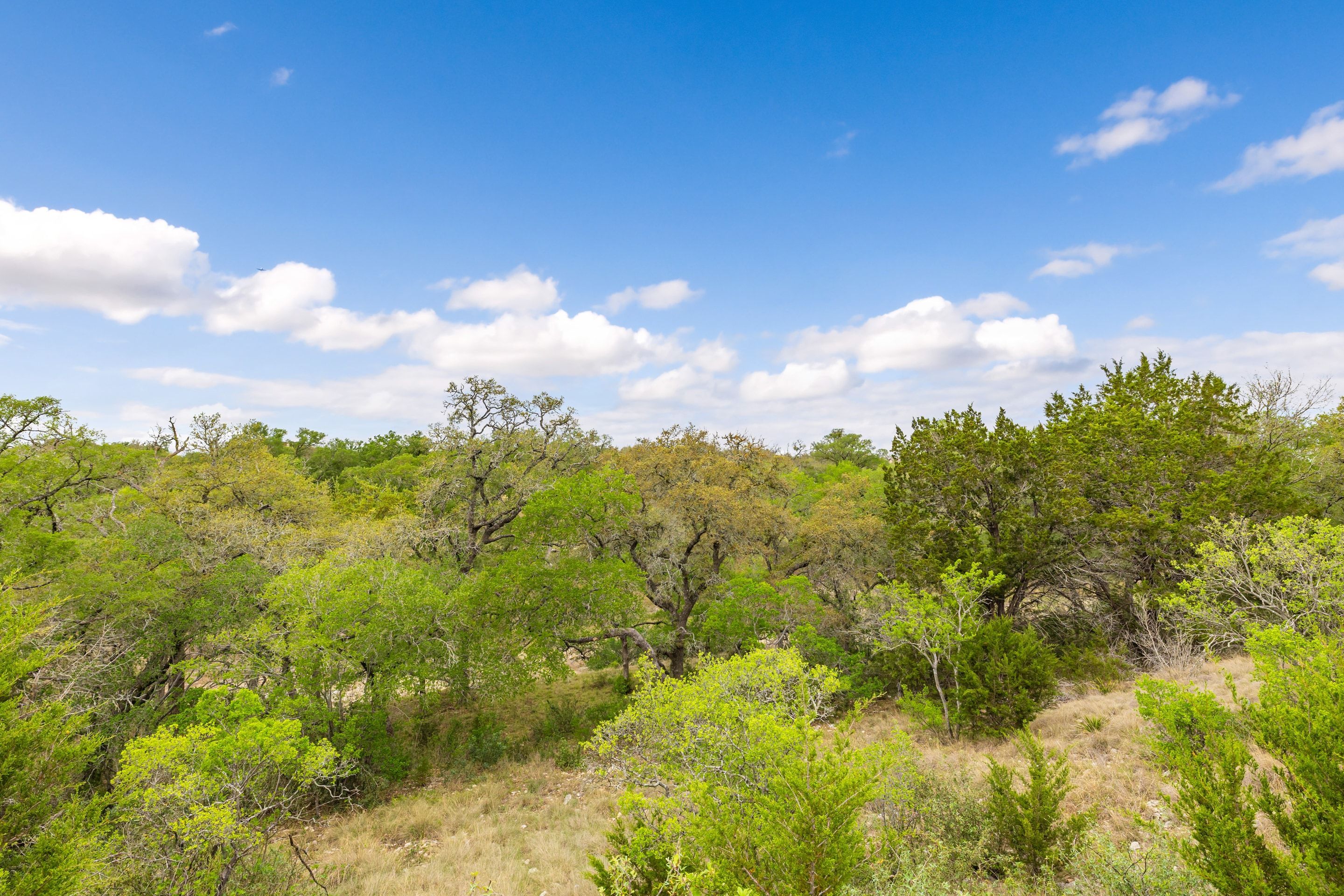  744 Bartlett Drive West - 物件實景