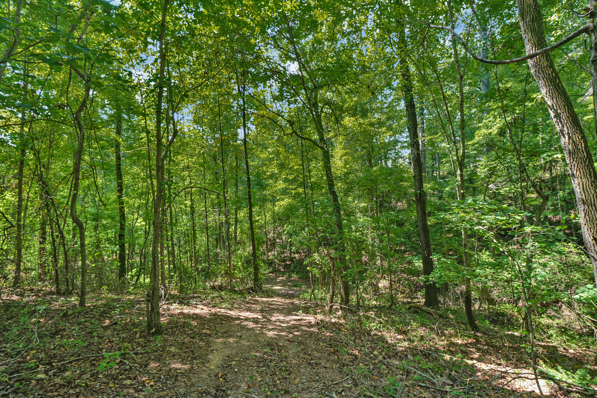 Rockwood, Tennessee, 37854, United States, 4 Bedrooms Bedrooms, ,3 BathroomsBathrooms,Residential,For Sale,2011403