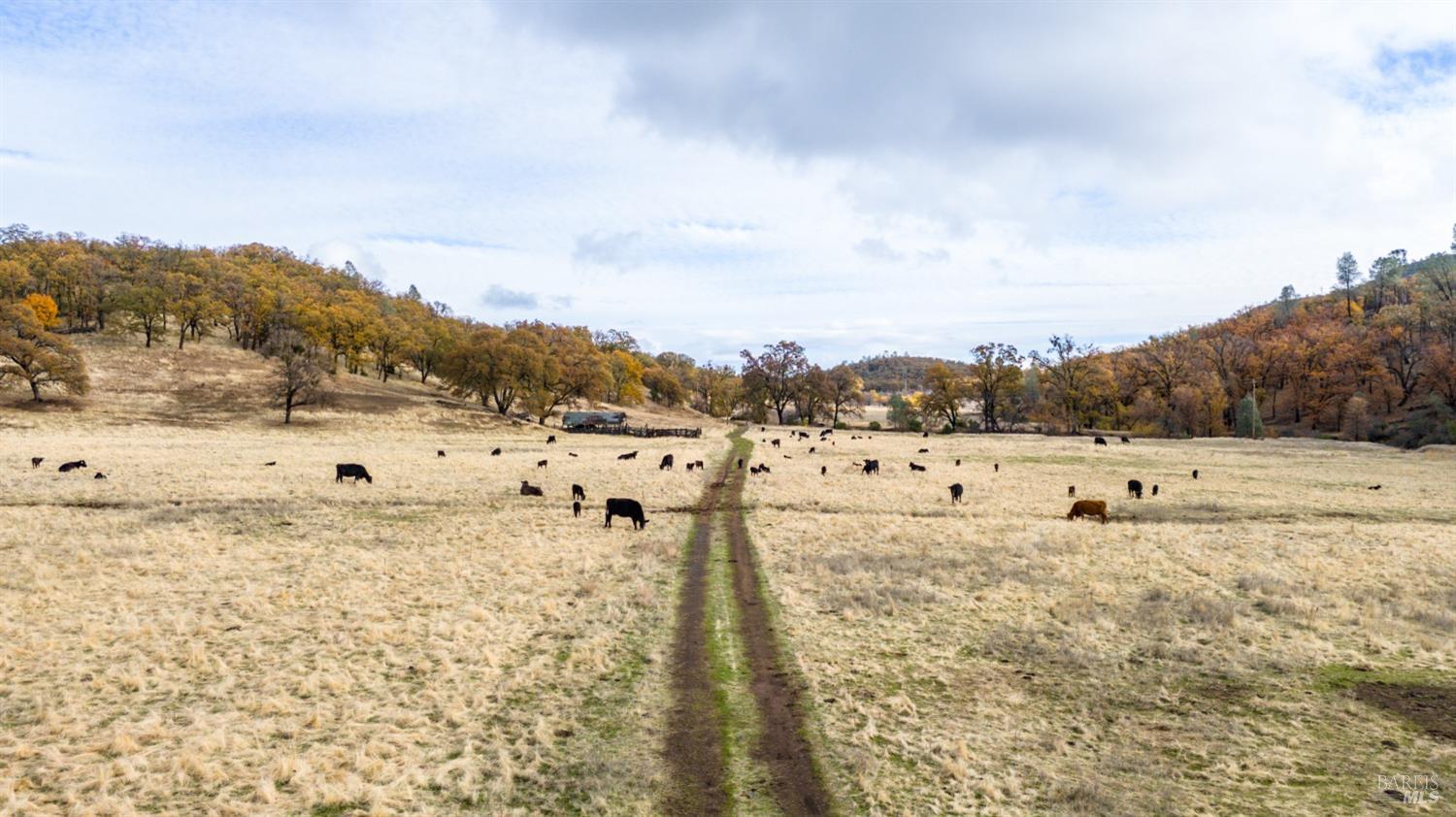 Lower Lake, California, 95457, United States, ,Land,For Sale,1976716