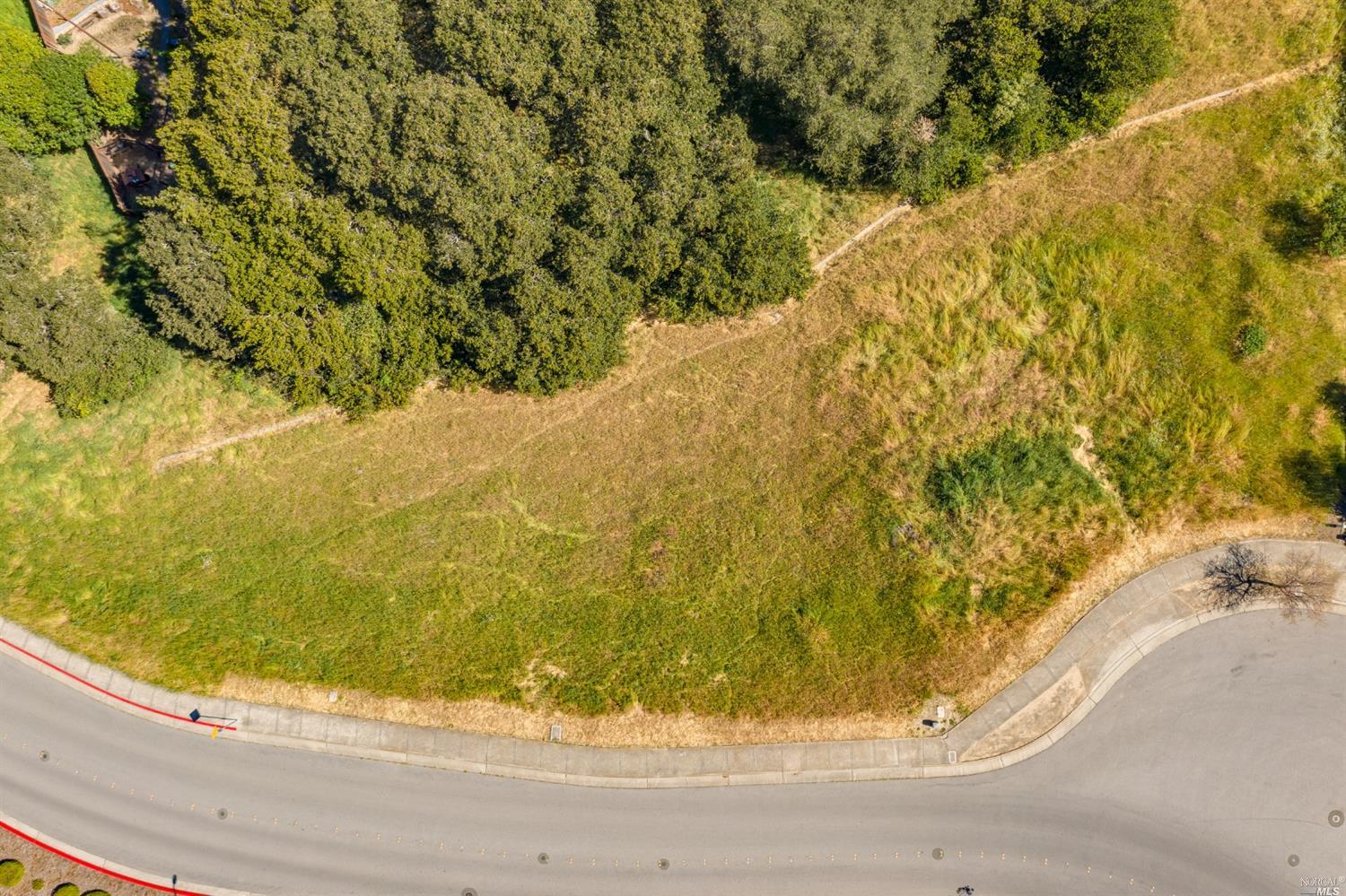 Petaluma, California, 94952, United States, ,Land,For Sale,1939295