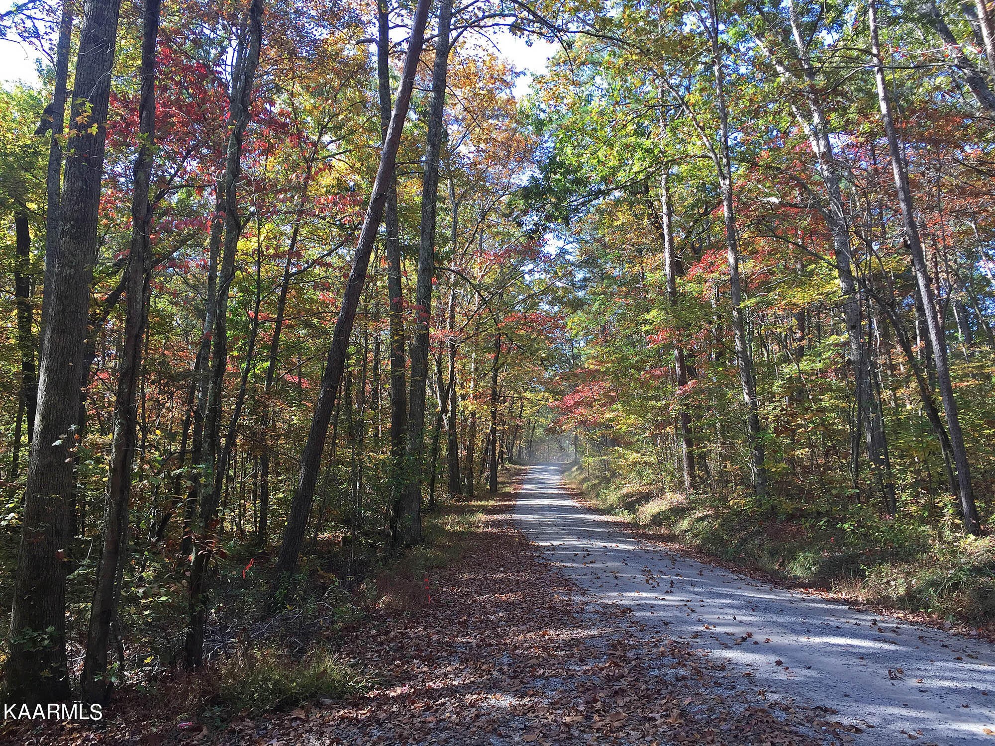 Pikeville, Tennessee, 37367, United States, ,Residential,For Sale,1943070