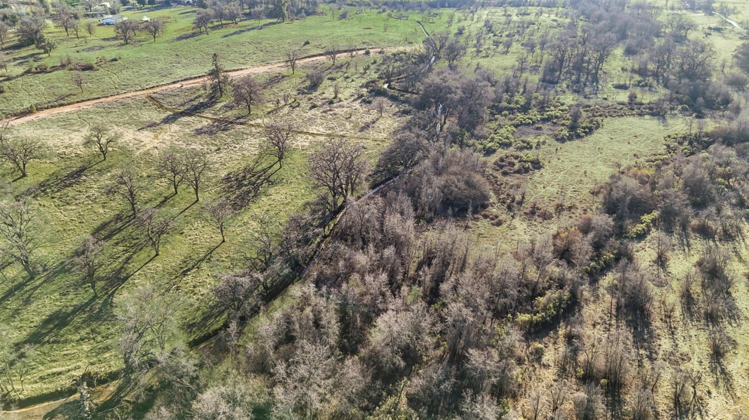 Cool, California, 95614, United States, ,Land,For Sale,1994251