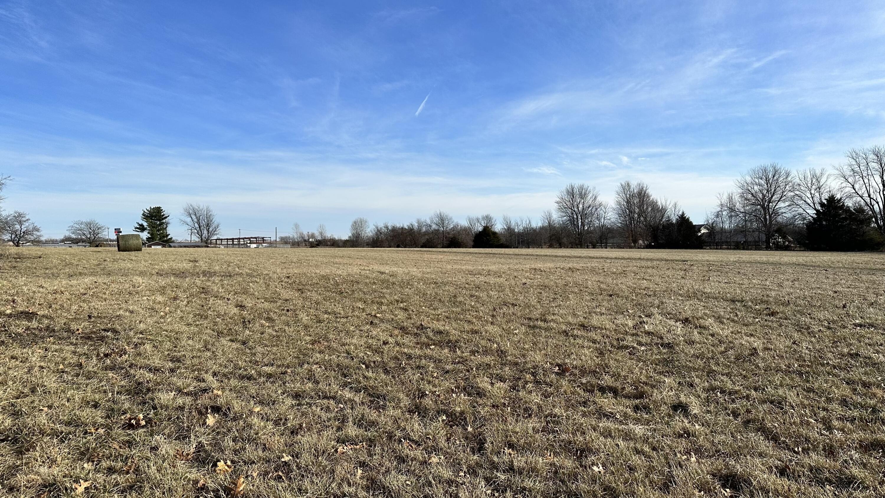 Bolivar, Missouri, 65613, United States, ,Land,For Sale,2006464
