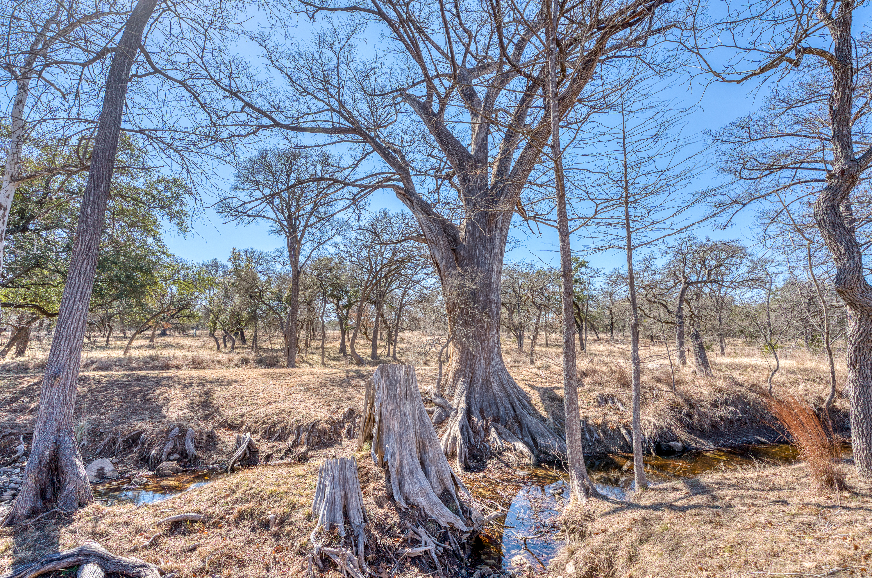  Cypress Island Ranch in Blanco County - 物件實景