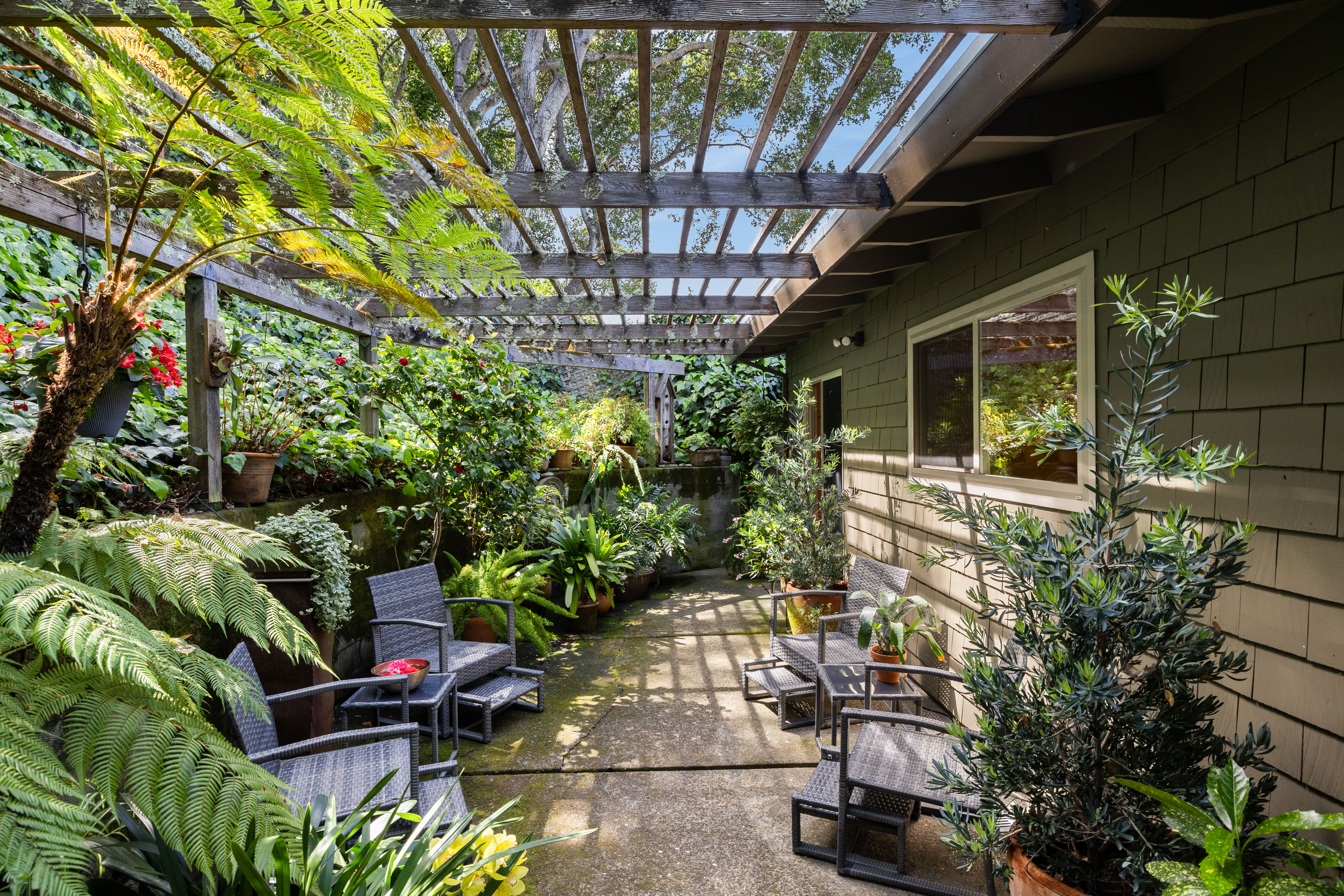  Mid-Century Design and Natural Tranquility in San Rafael’s West End - 物件實景