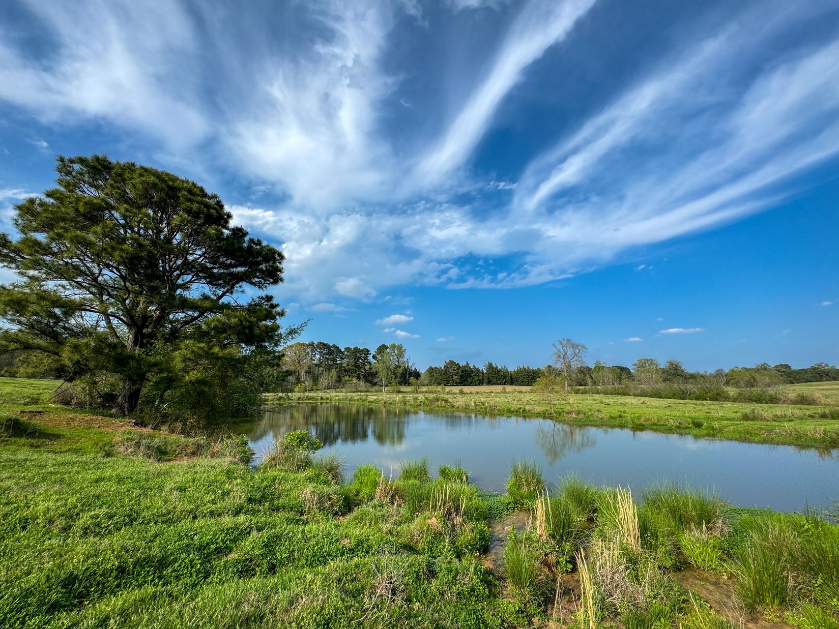 Bivins, Texas, 75555, United States, ,Residential,For Sale,1755933