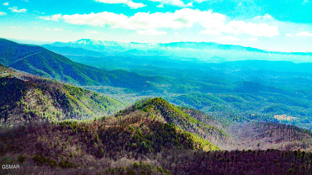 Sevierville, Tennessee, 37876, United States, ,Land,For Sale,2009102