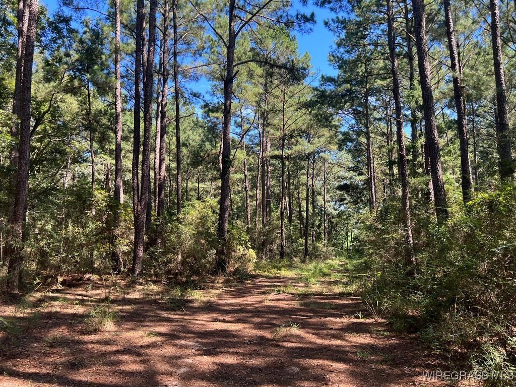 Enterprise, Alabama, 36330, United States, ,Land,For Sale,1979580