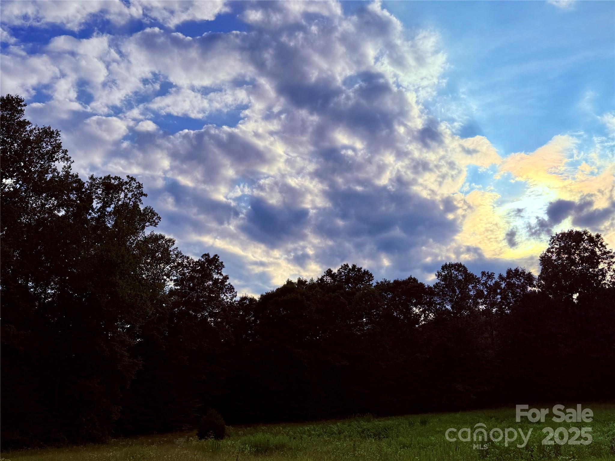 Columbus, North Carolina, 28756, United States, ,Land,For Sale,1975395